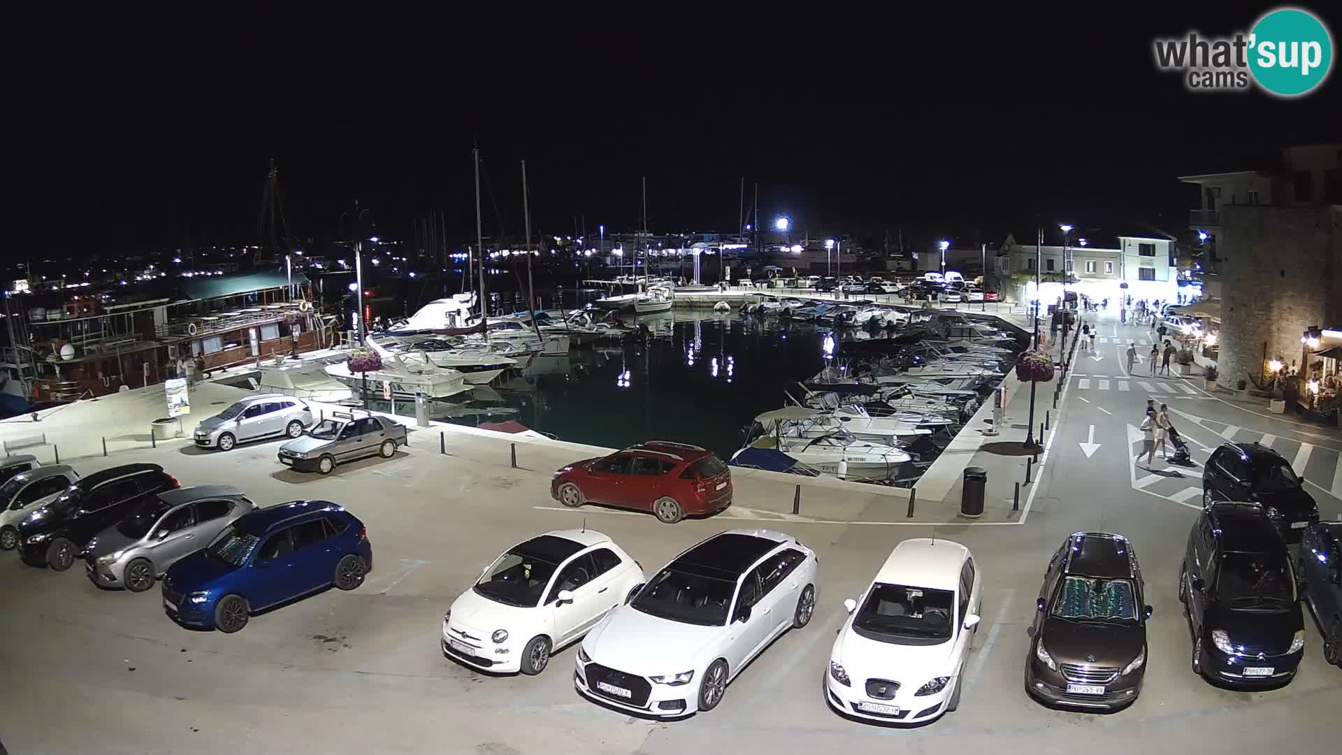 Novigrad | Porporela marina