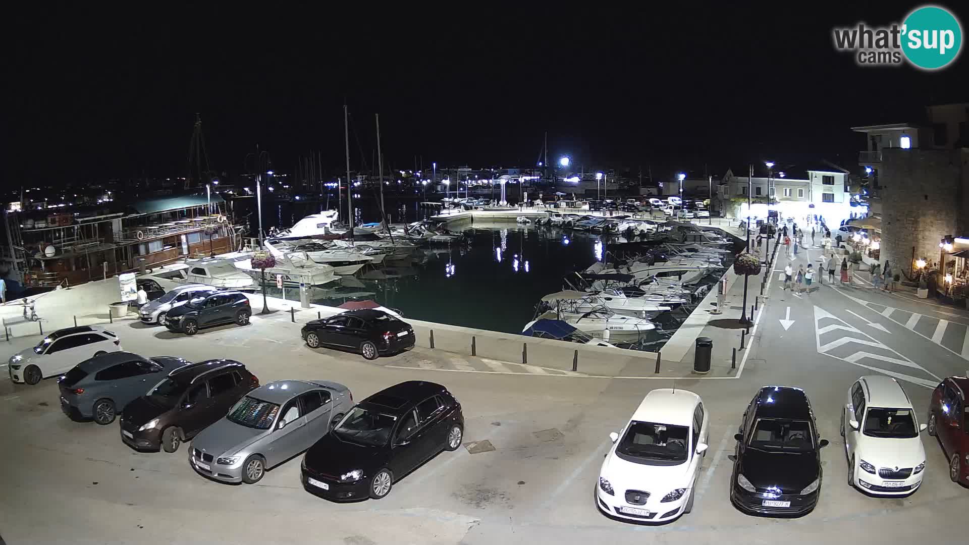Novigrad | Porporela marina
