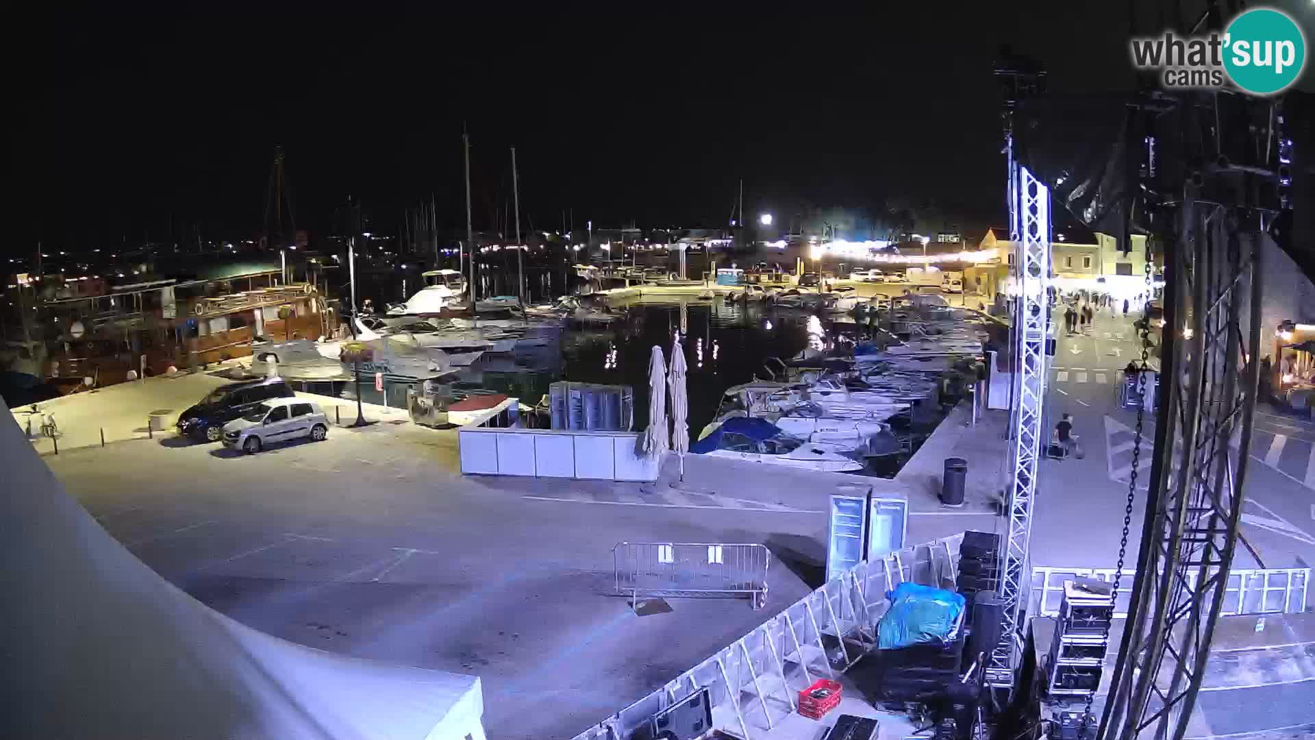 Novigrad | Porporela marina