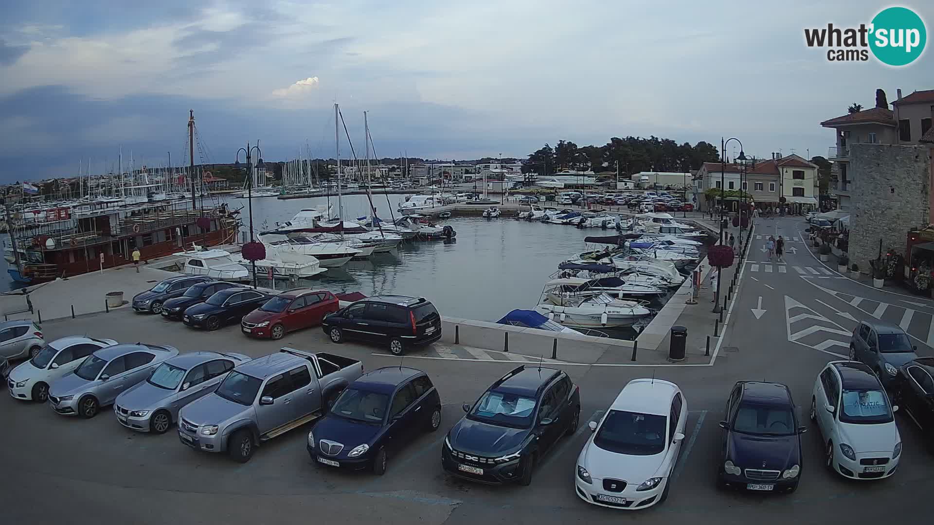 Novigrad | Porporela marina