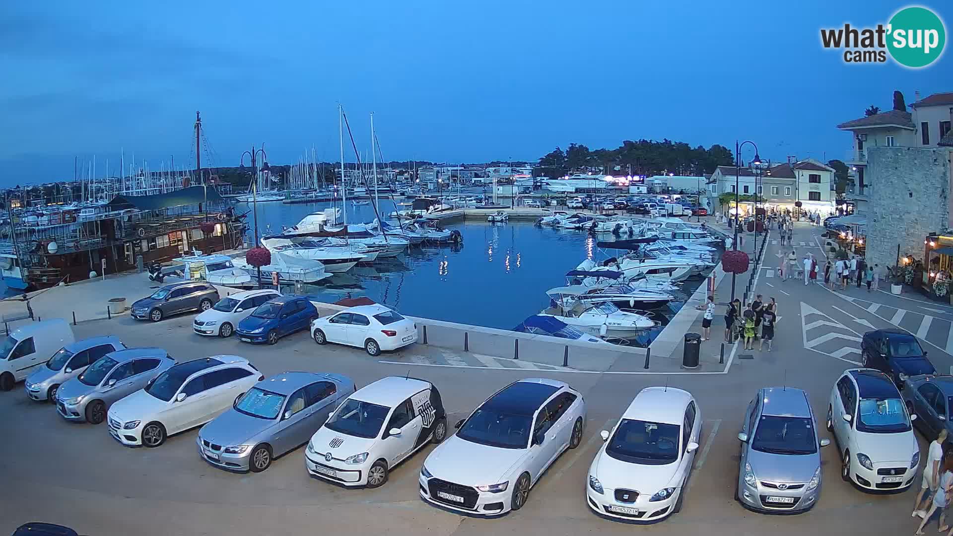 Novigrad | Porporela marina