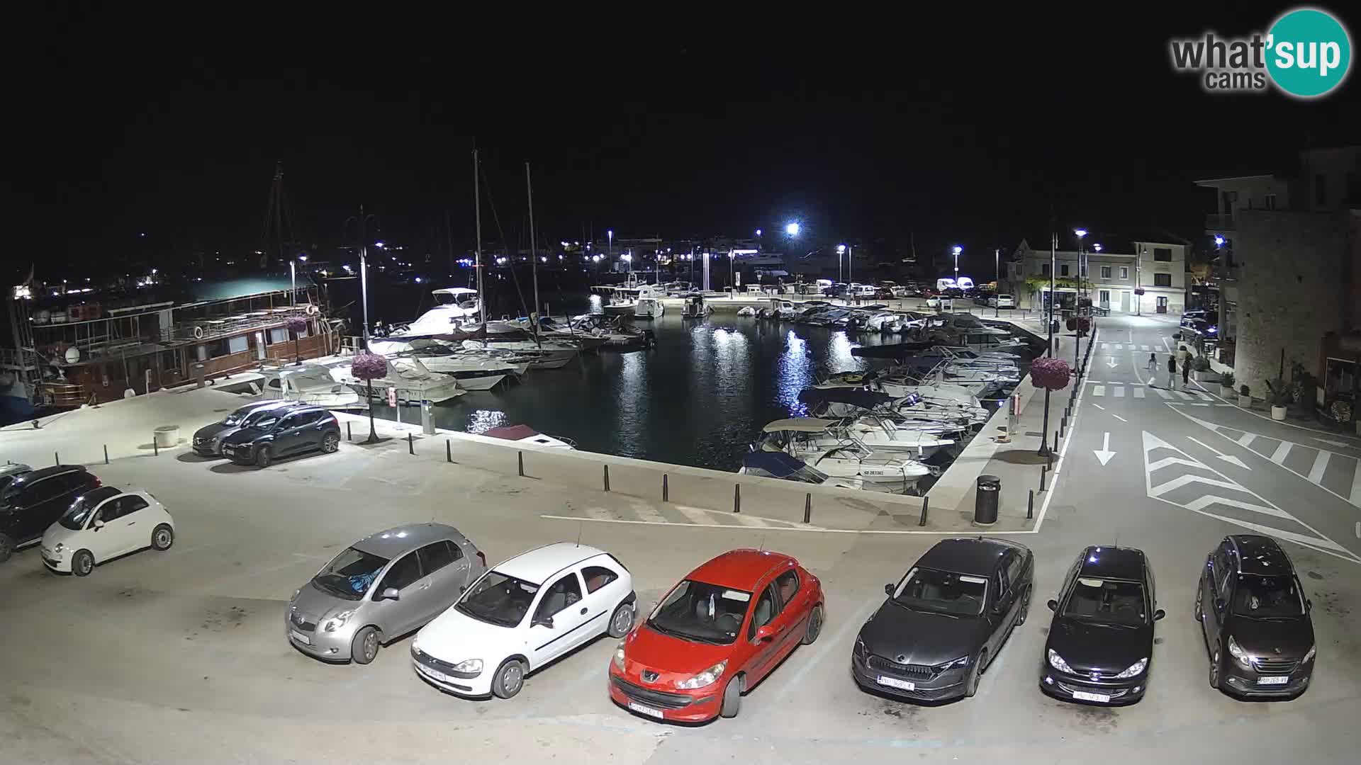 Novigrad | Porporela marina