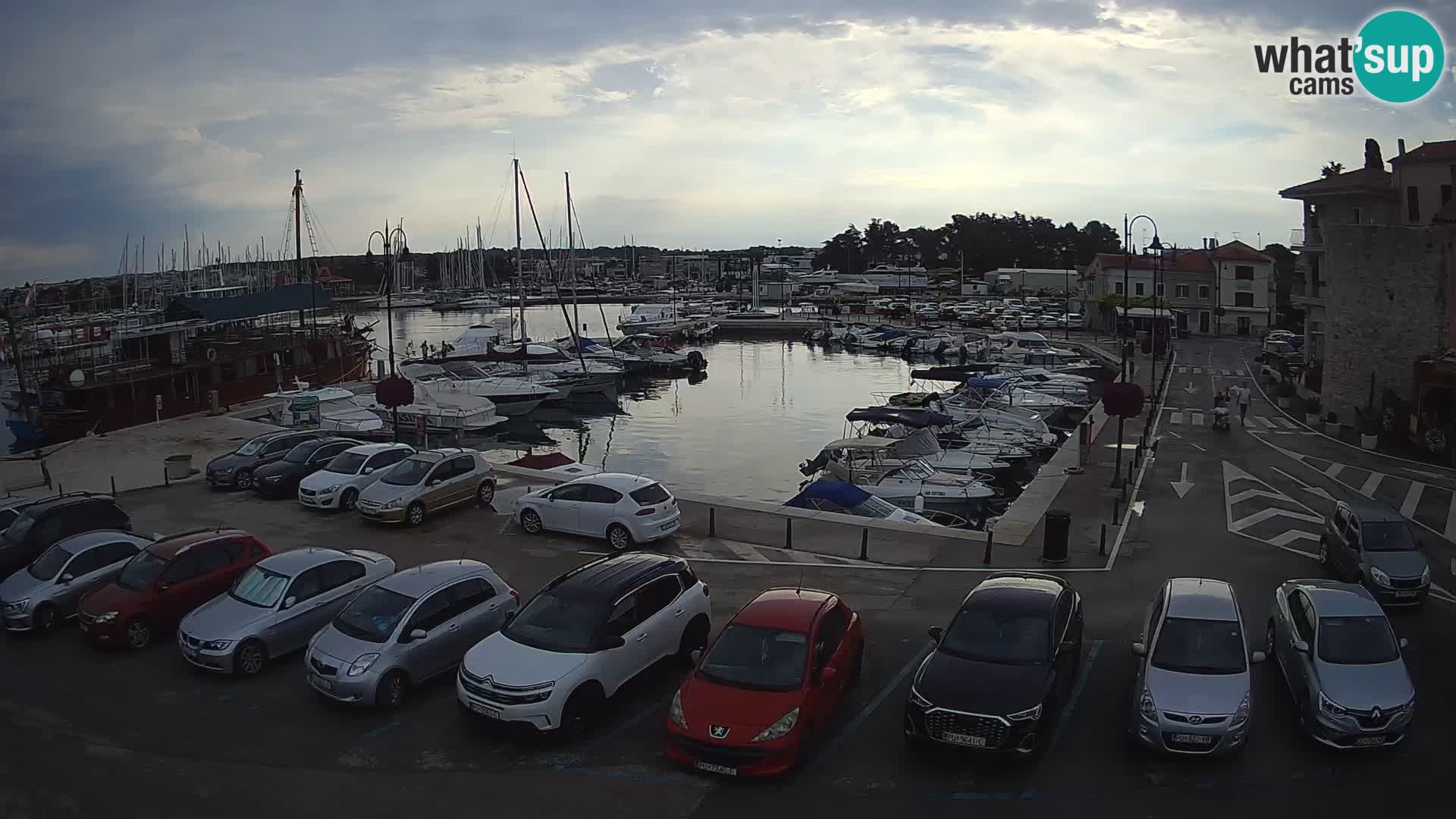 Novigrad | Porporela marina