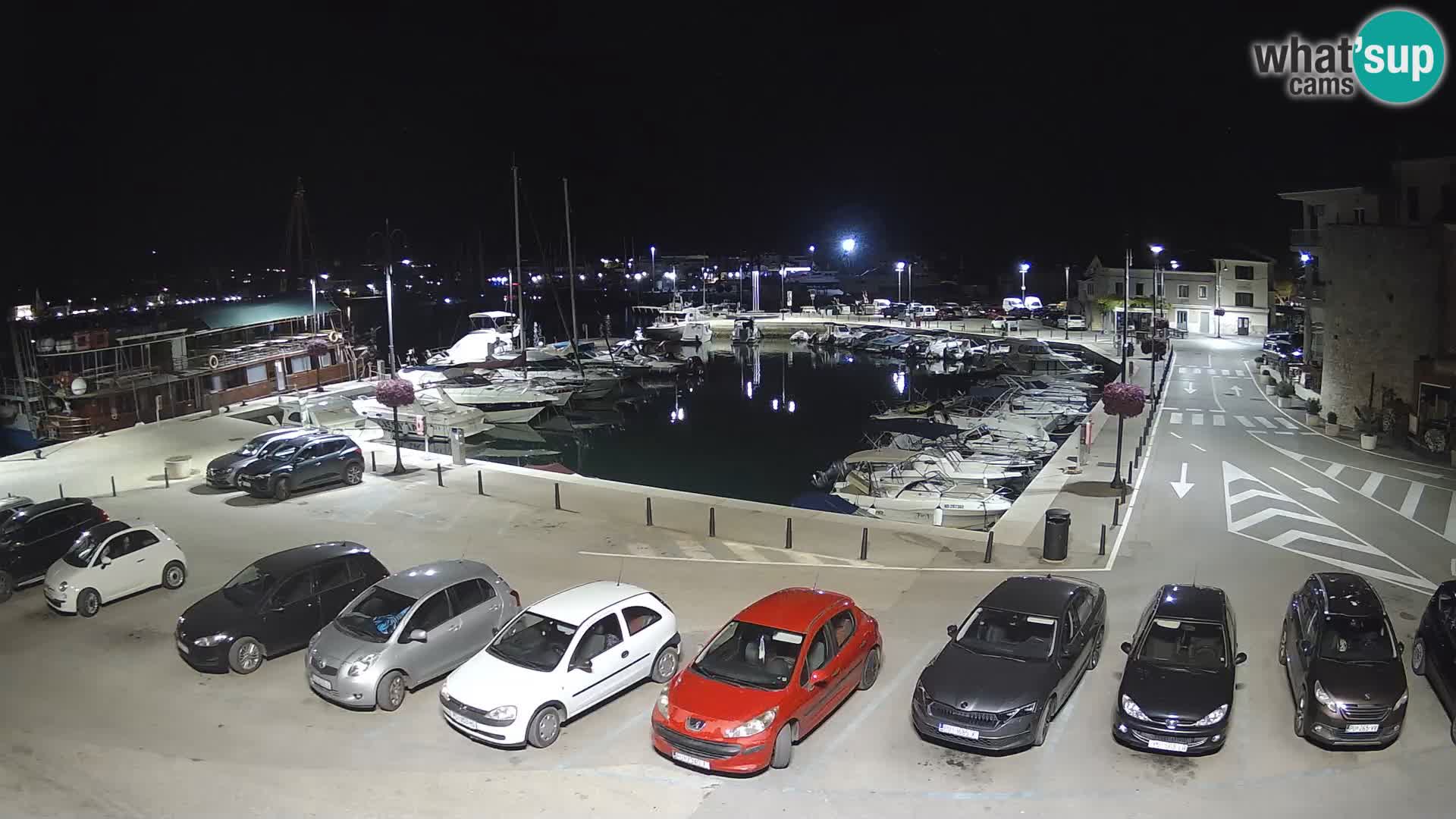Novigrad | Porporela marina