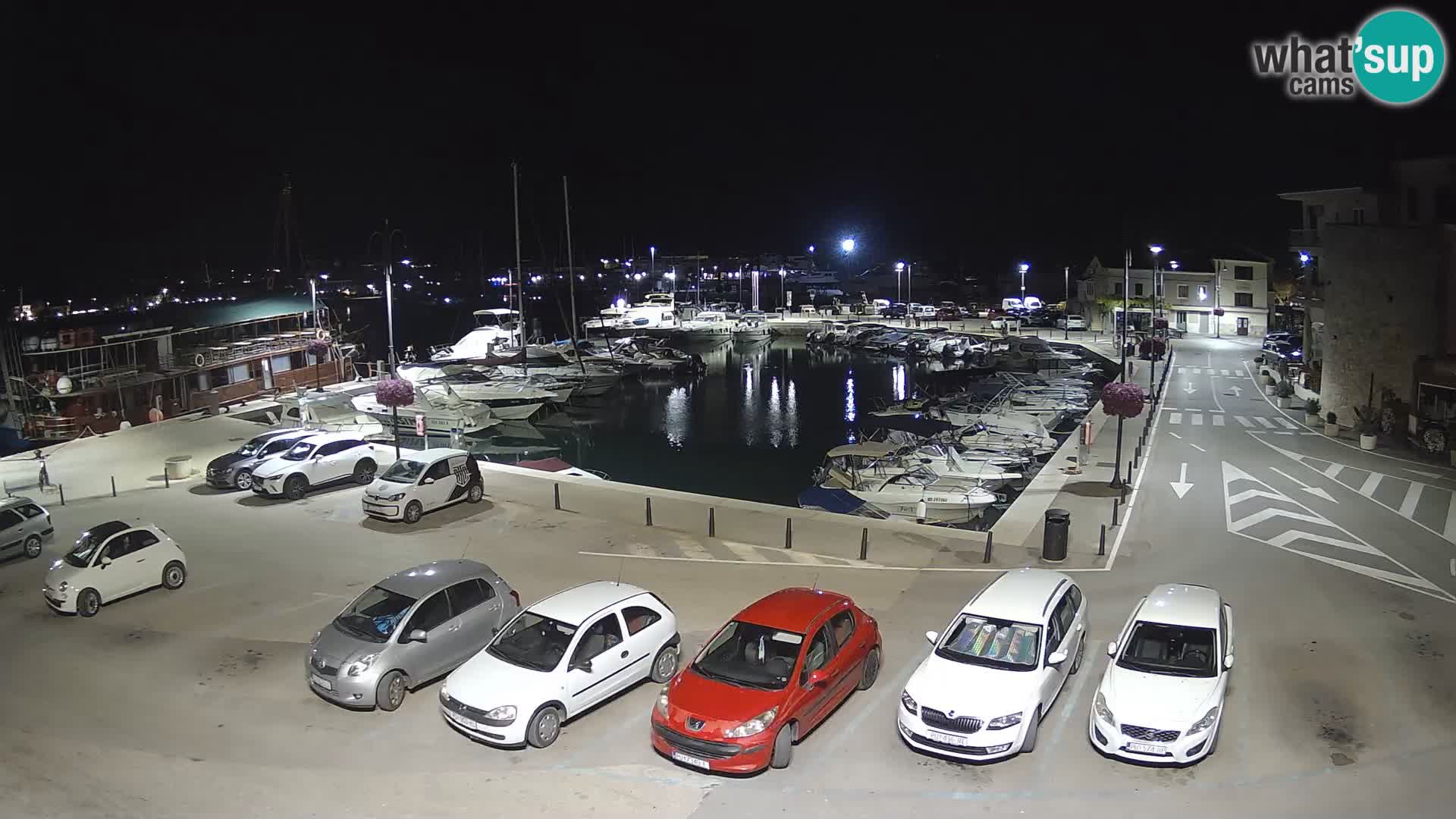 Novigrad | Porporela marina