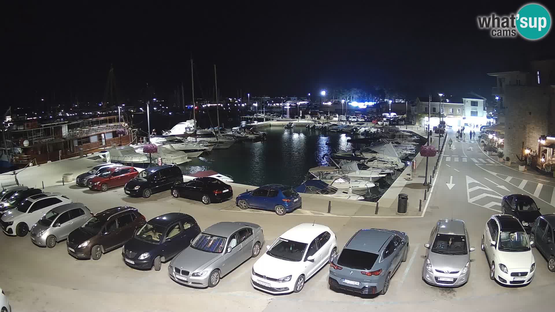 Novigrad | Porporela marina