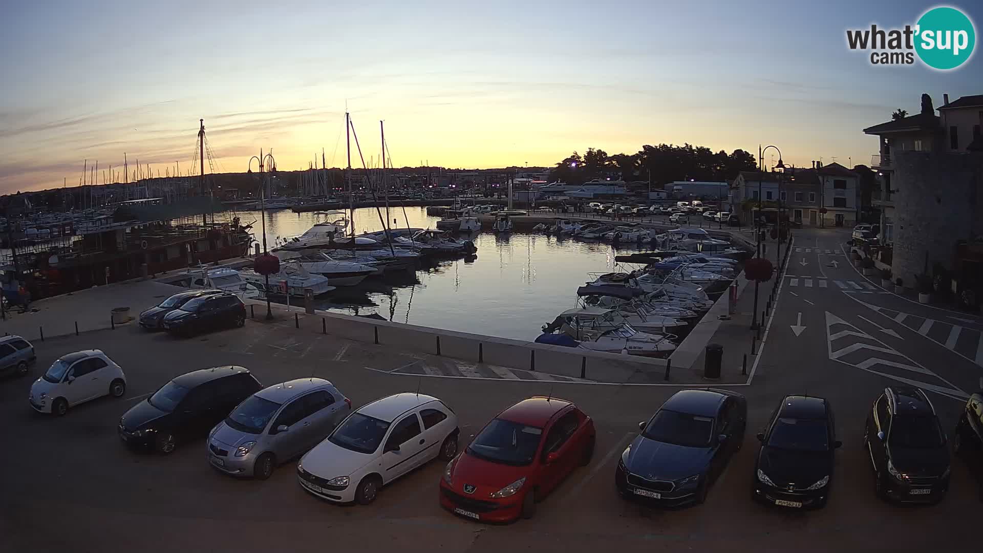 Novigrad | Porporela marina