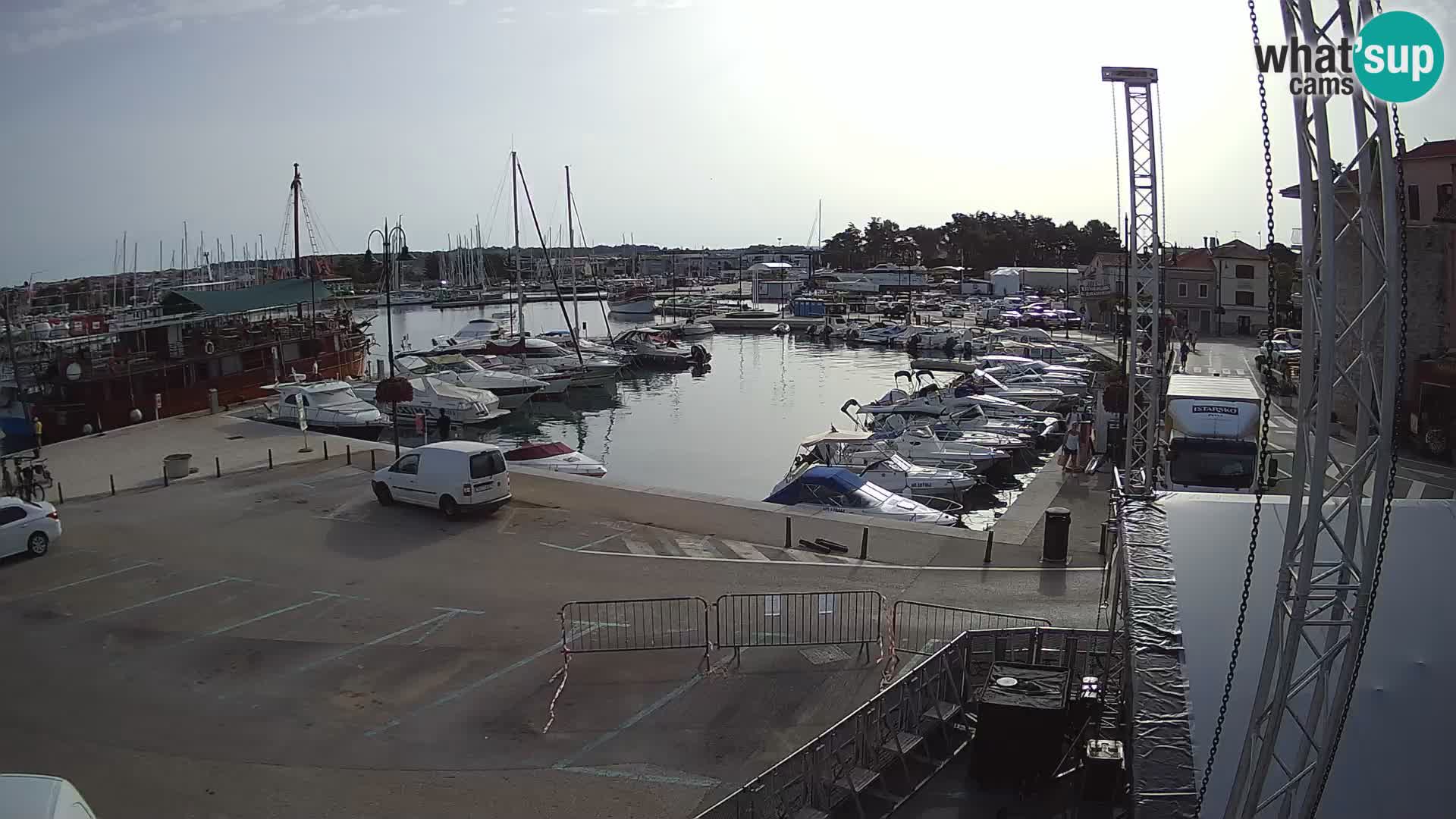 Novigrad | Porporela marina