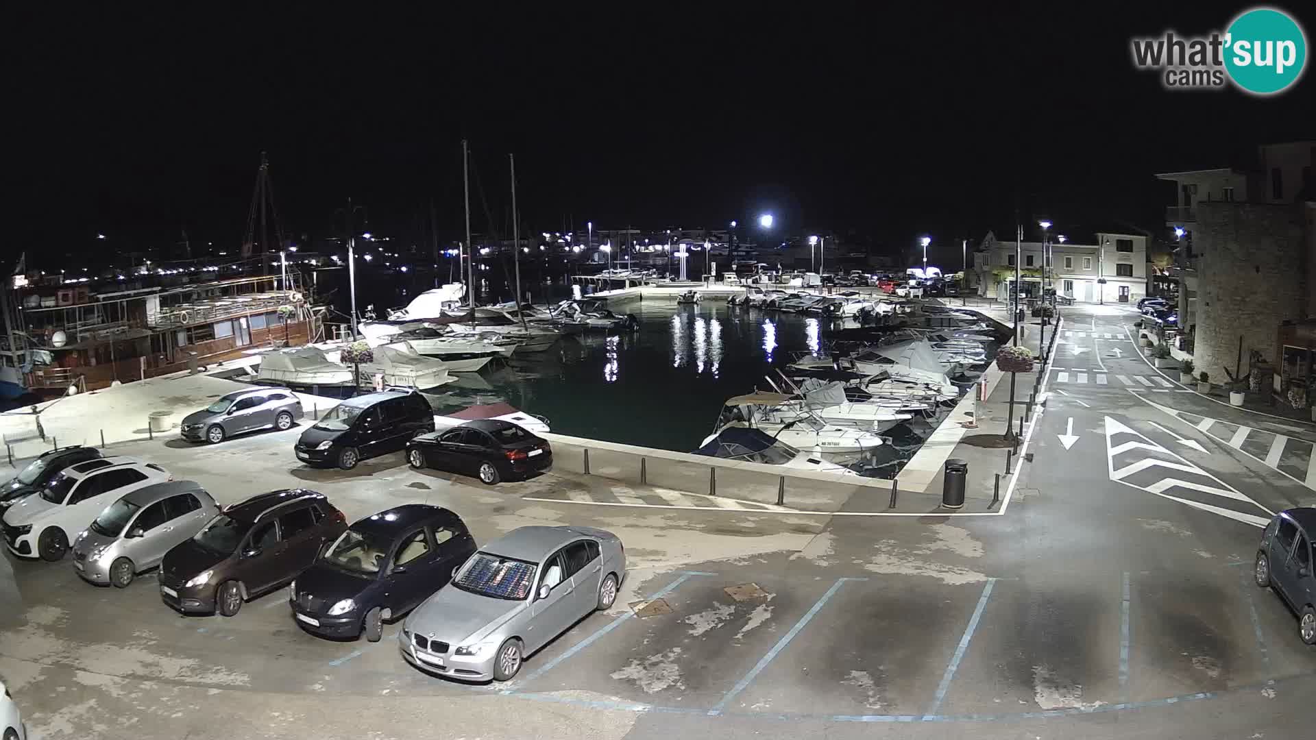 Novigrad | Porporela marina