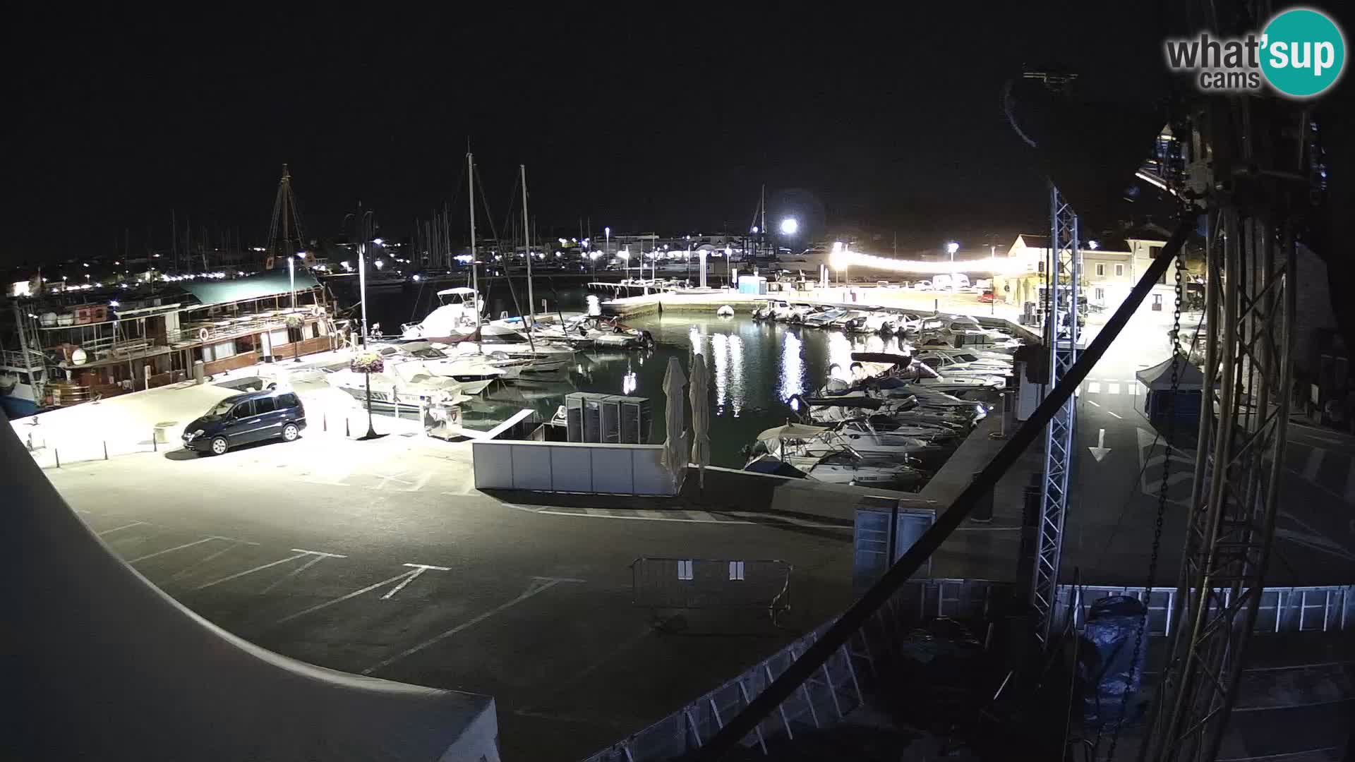 Novigrad | Porporela marina
