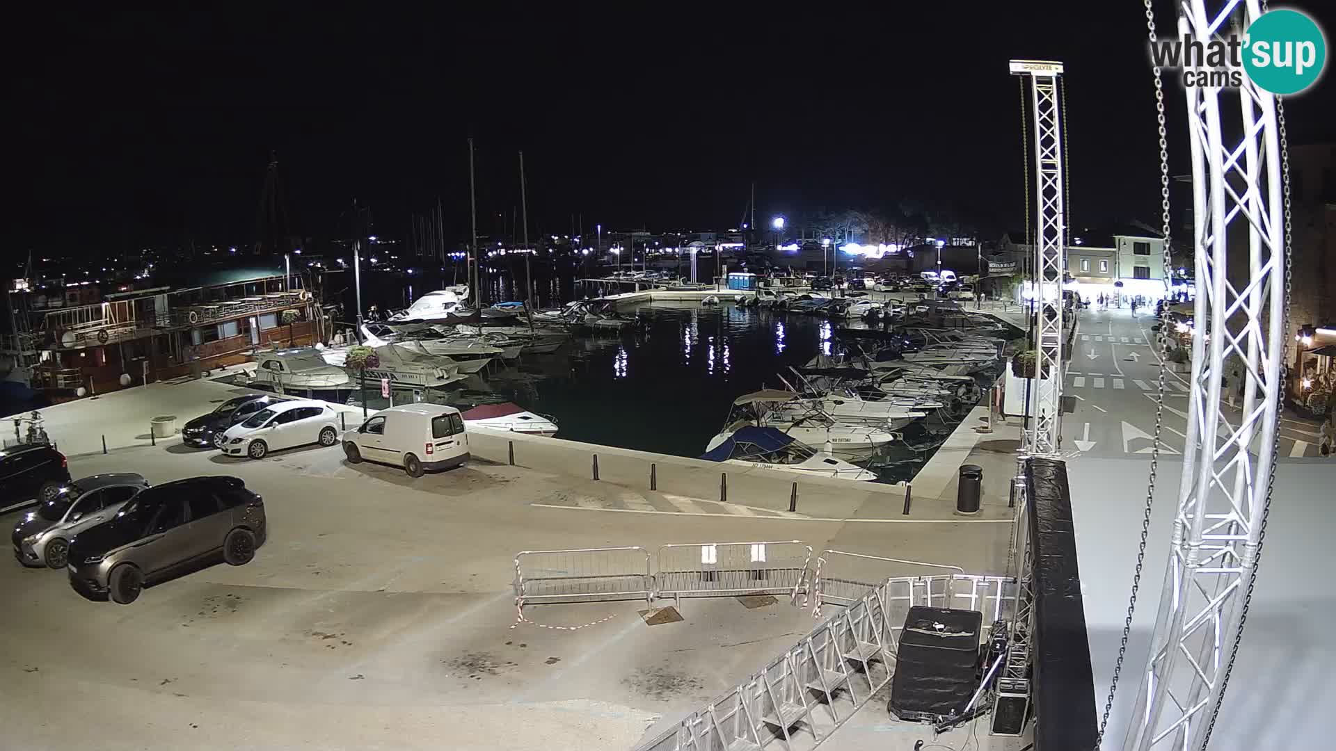 Novigrad | Porporela marina