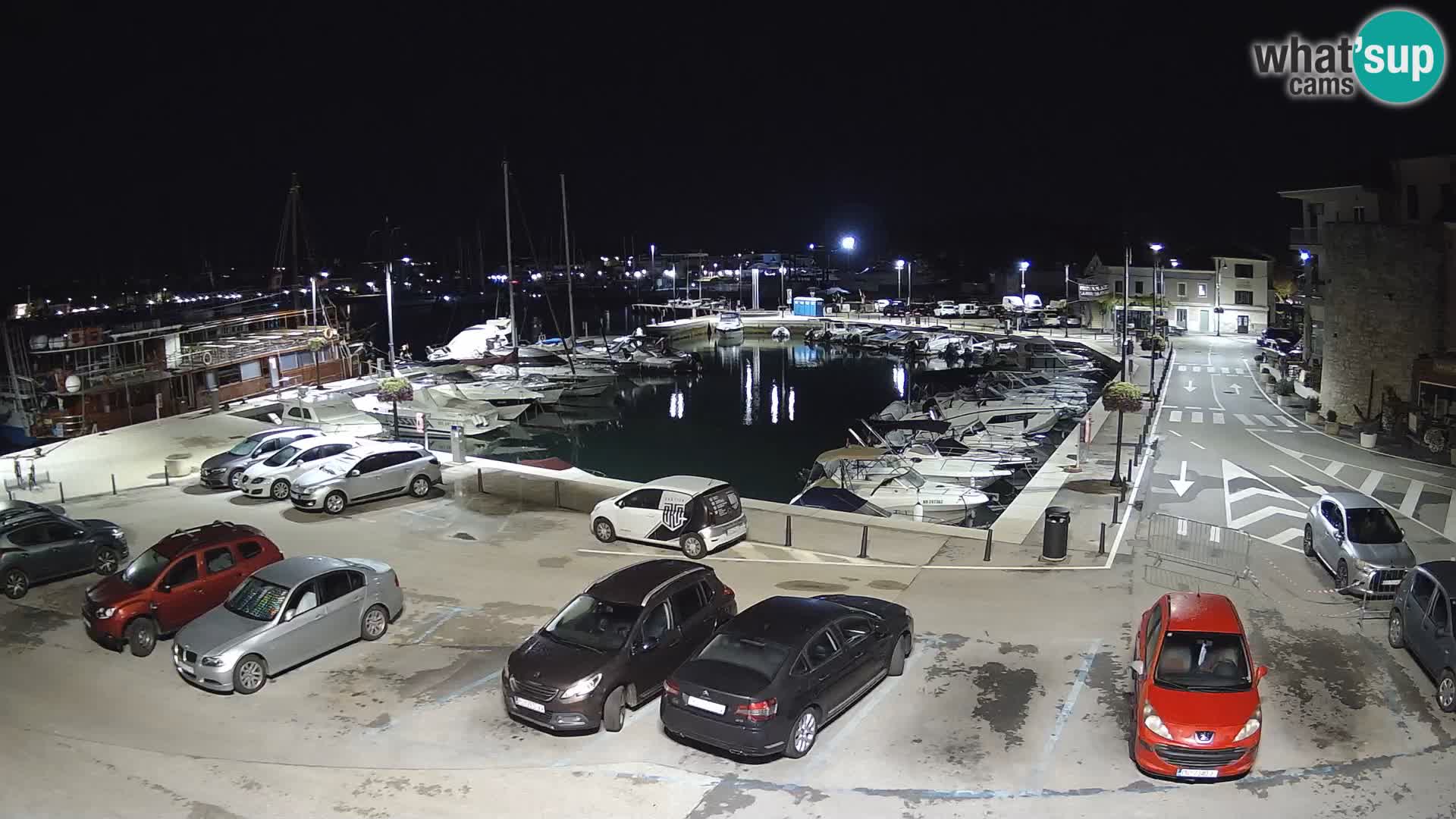 Novigrad | Porporela marina