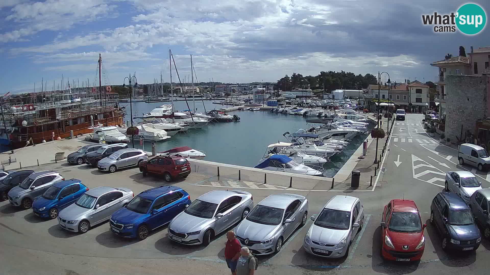 Novigrad | Porporela marina