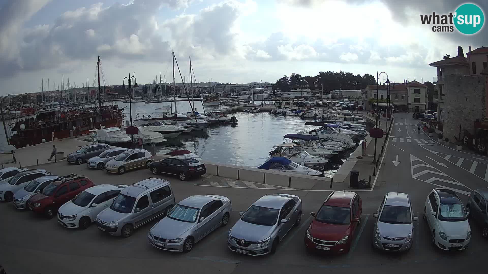 Novigrad | Porporela marina