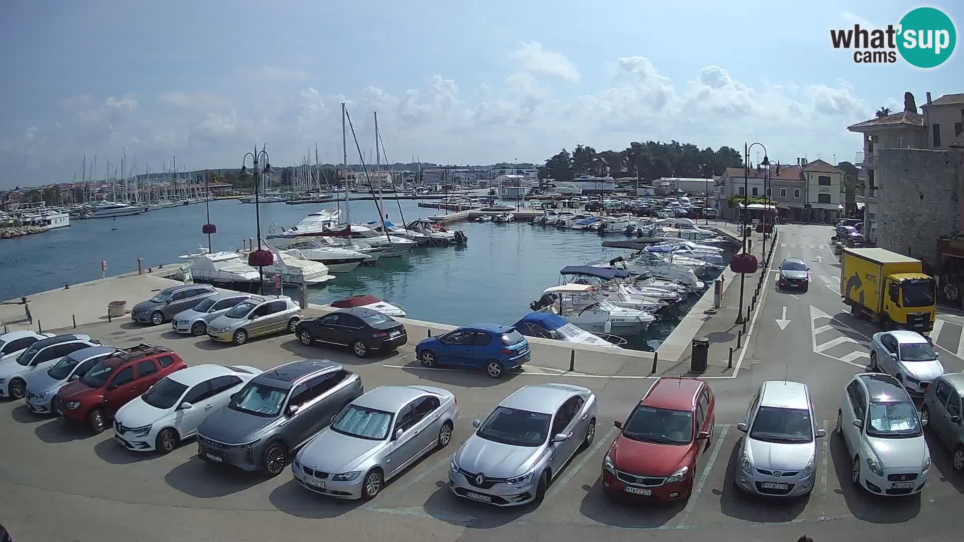 Novigrad | Porporela marina