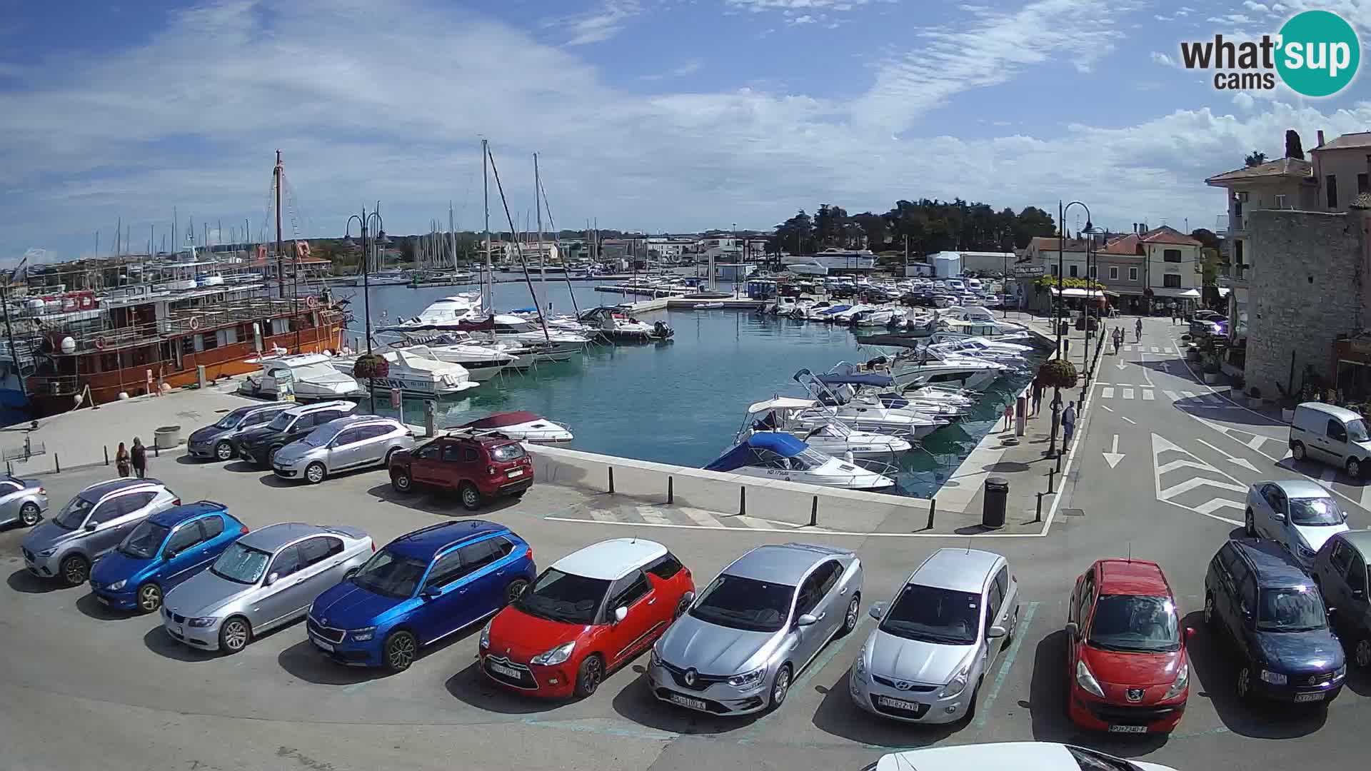 Novigrad | Porporela marina
