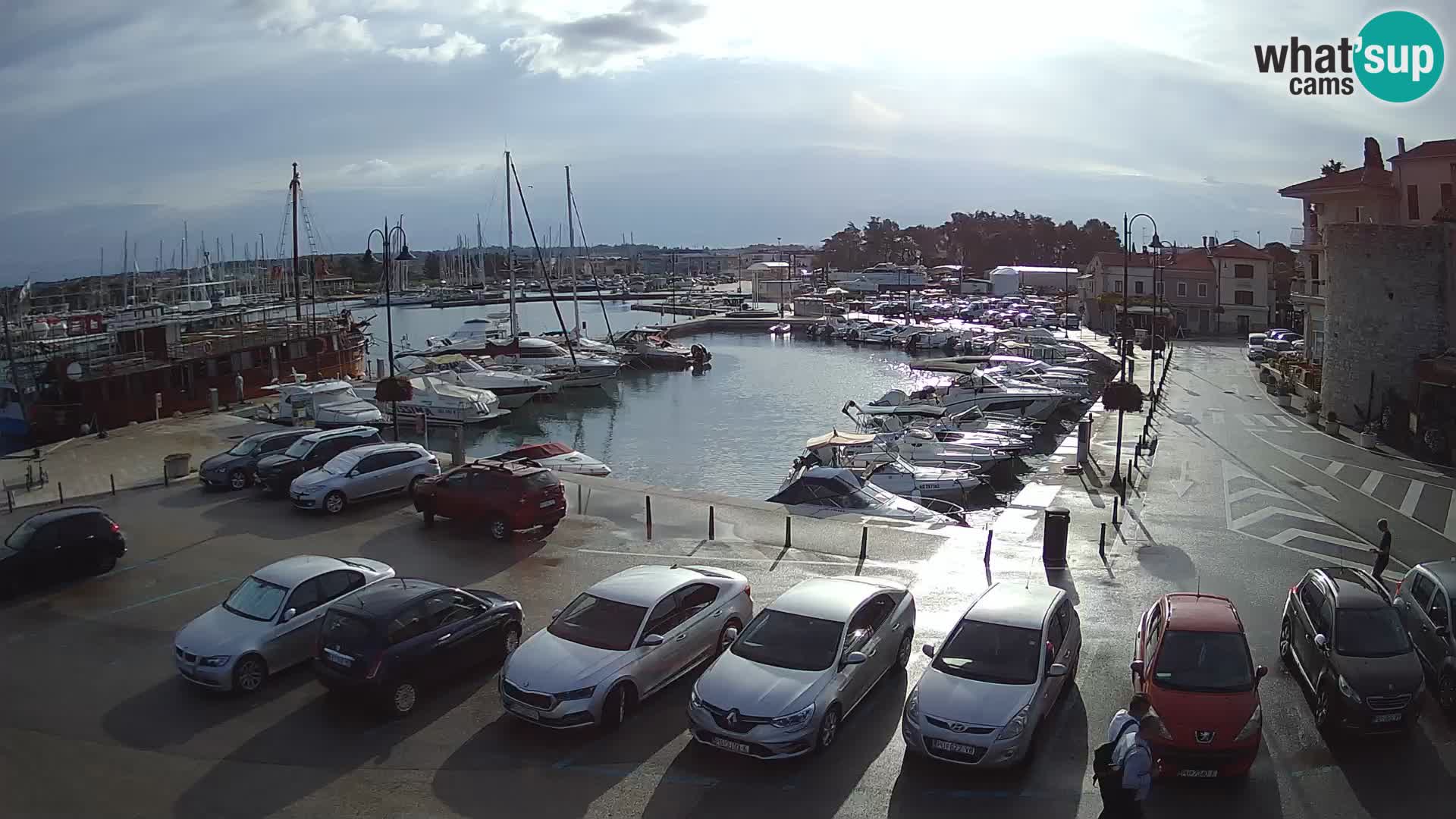 Novigrad | Porporela marina