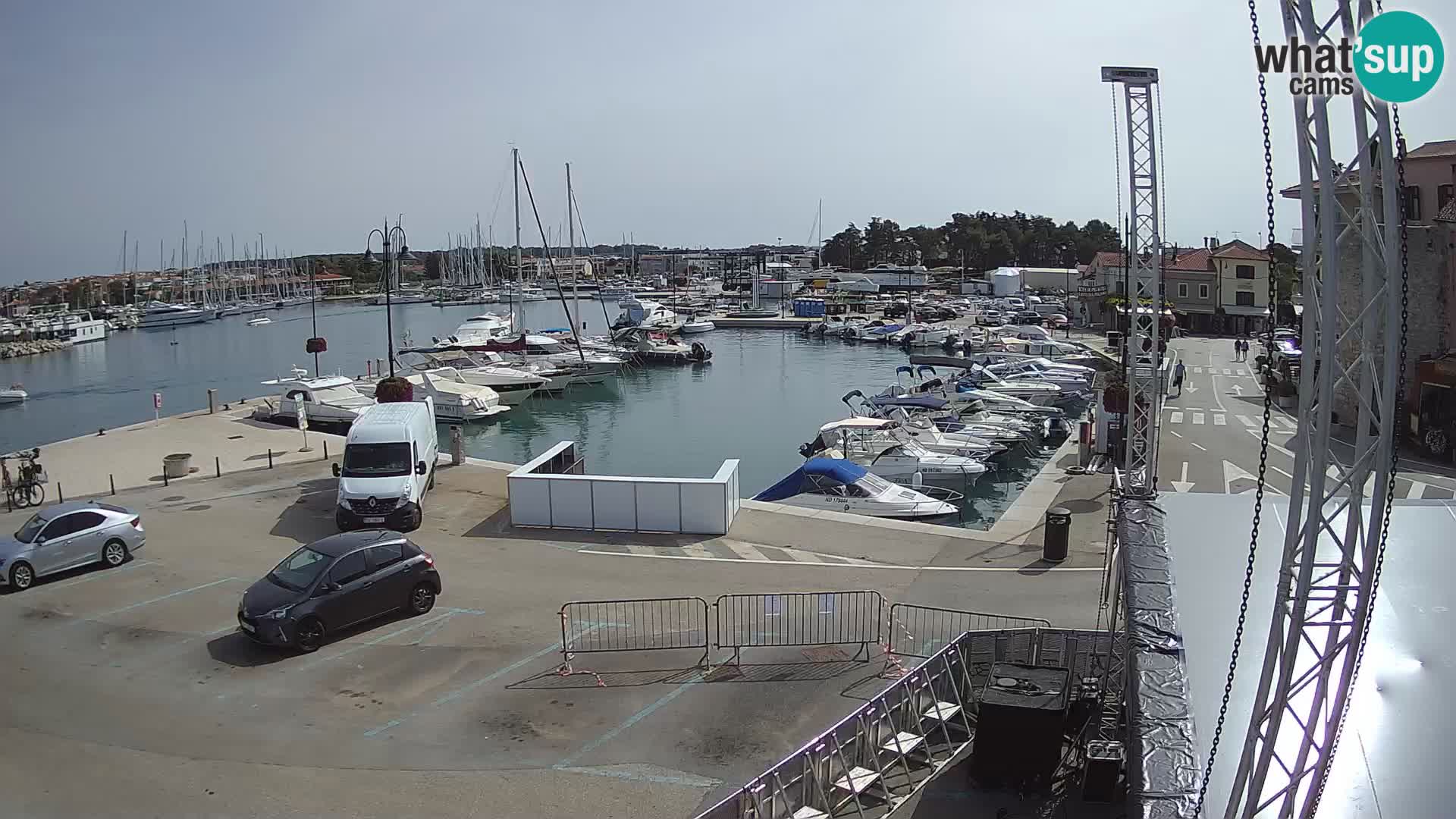 Novigrad | Porporela marina