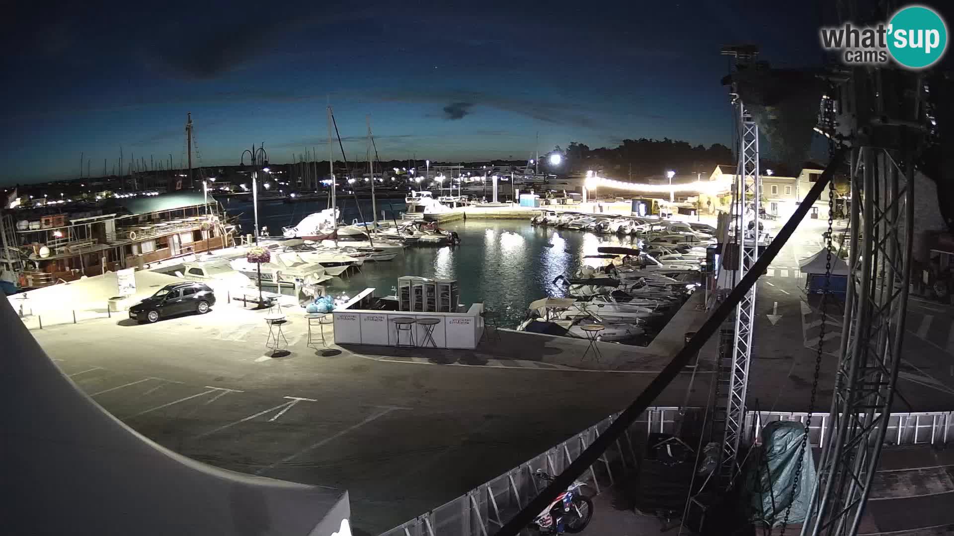 Novigrad | Porporela marina