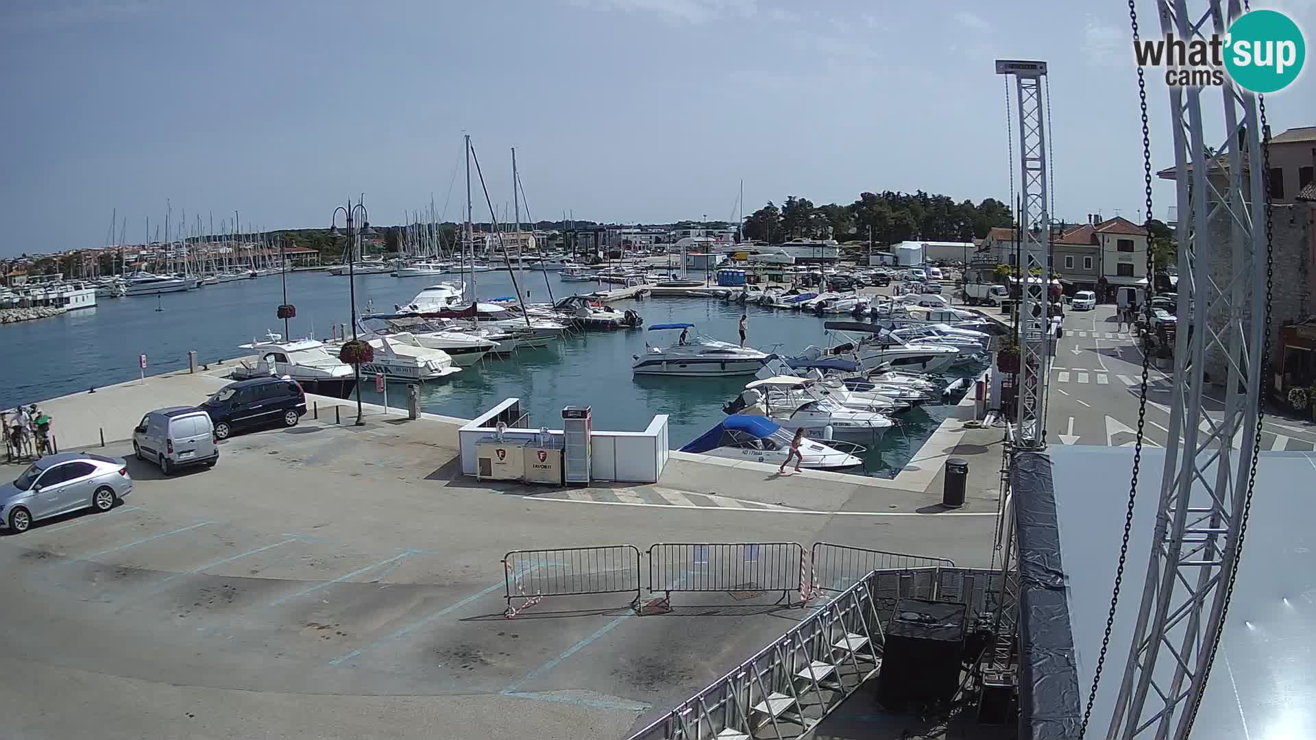 Novigrad | Porporela marina