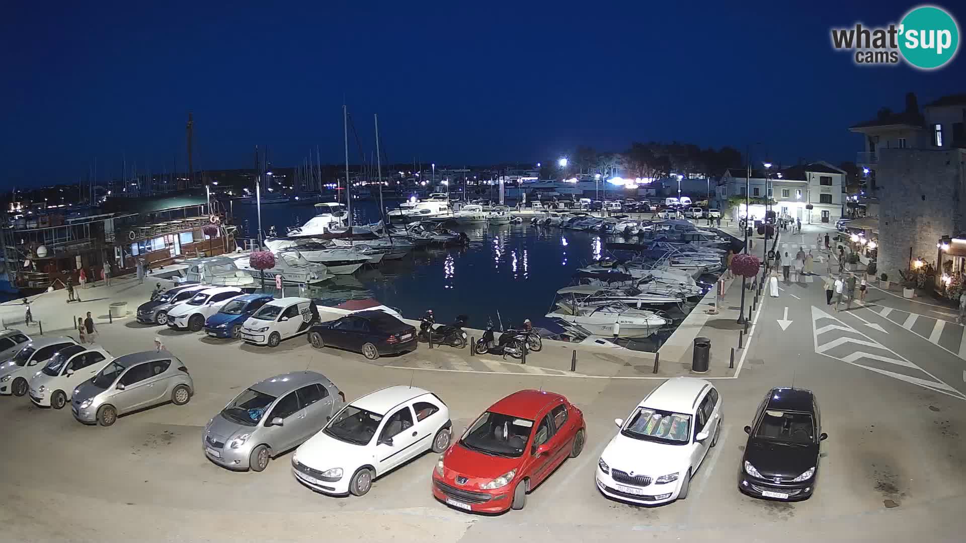 Novigrad | Porporela marina