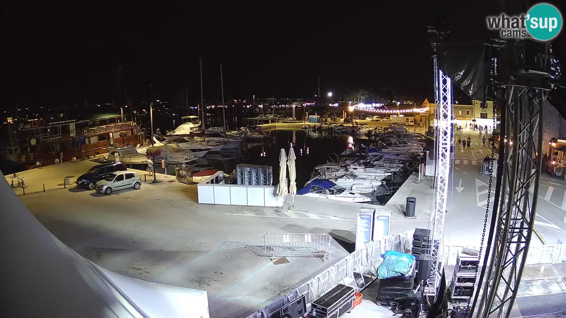 Novigrad | Porporela marina