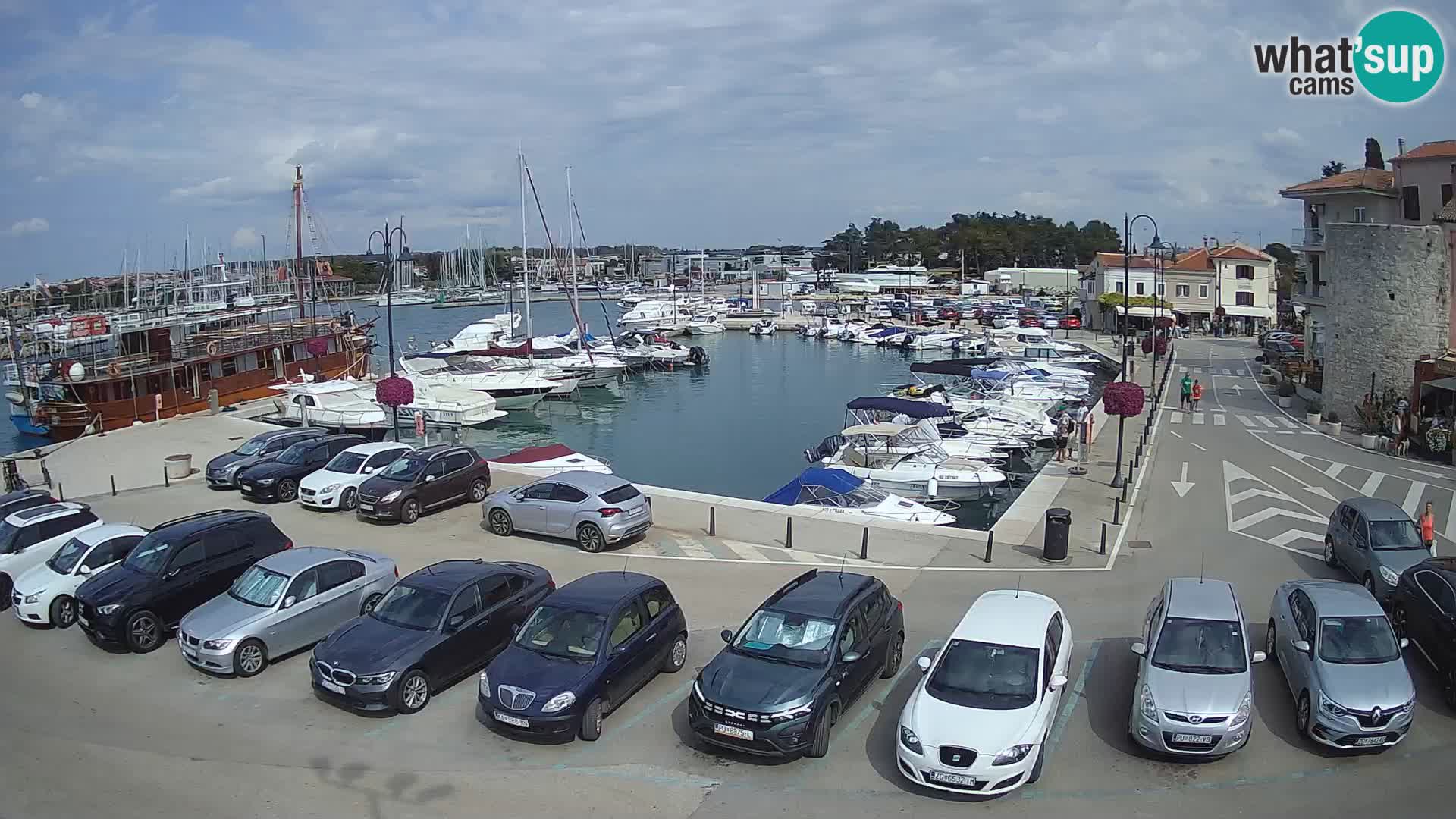 Novigrad | Porporela marina