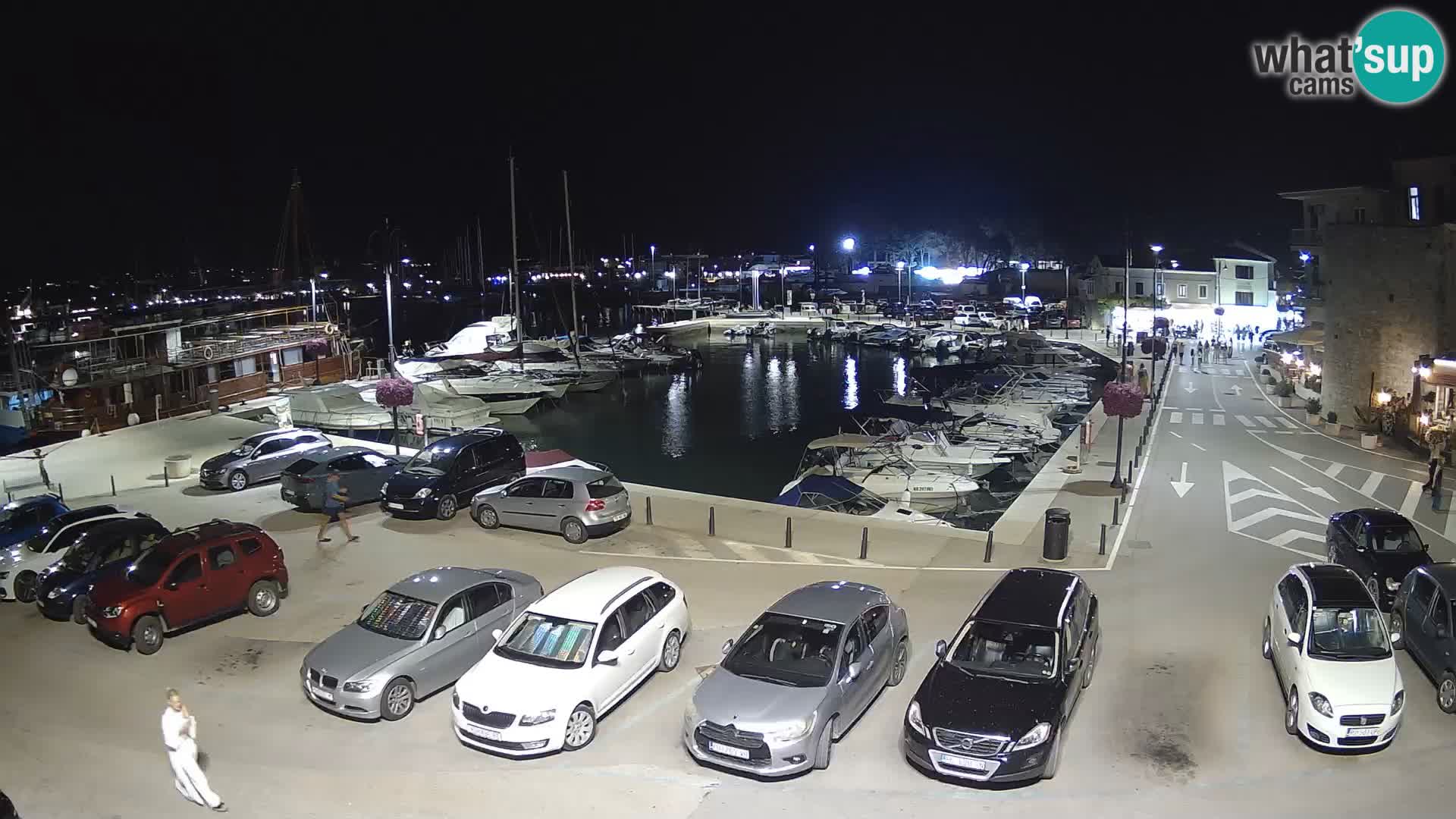 Novigrad | Porporela marina