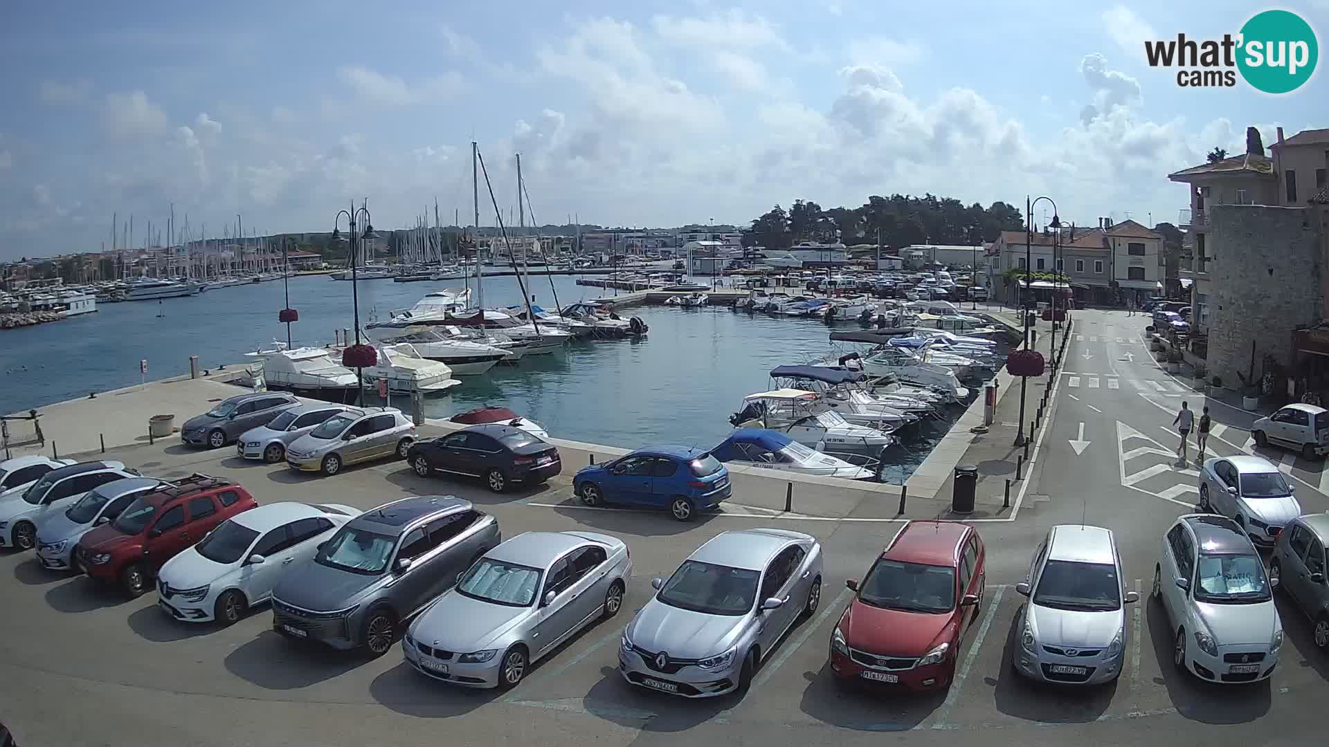 Novigrad | Porporela marina