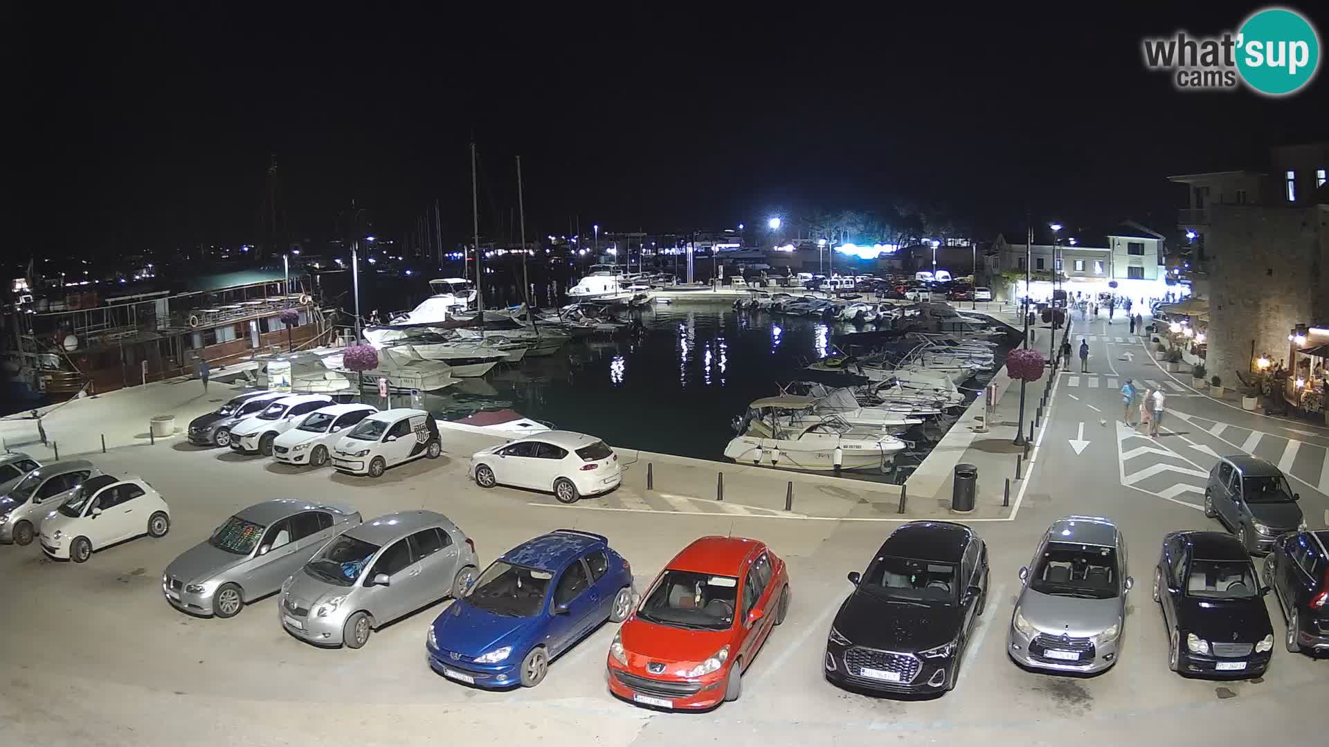 Novigrad | Porporela marina
