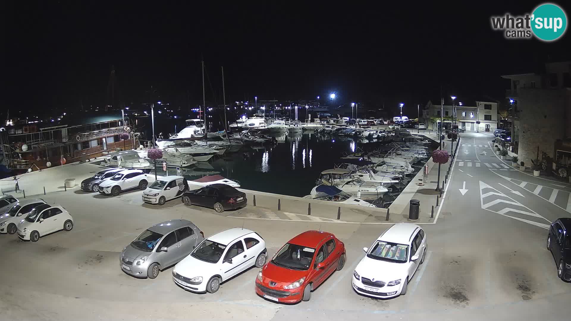 Novigrad | Porporela marina