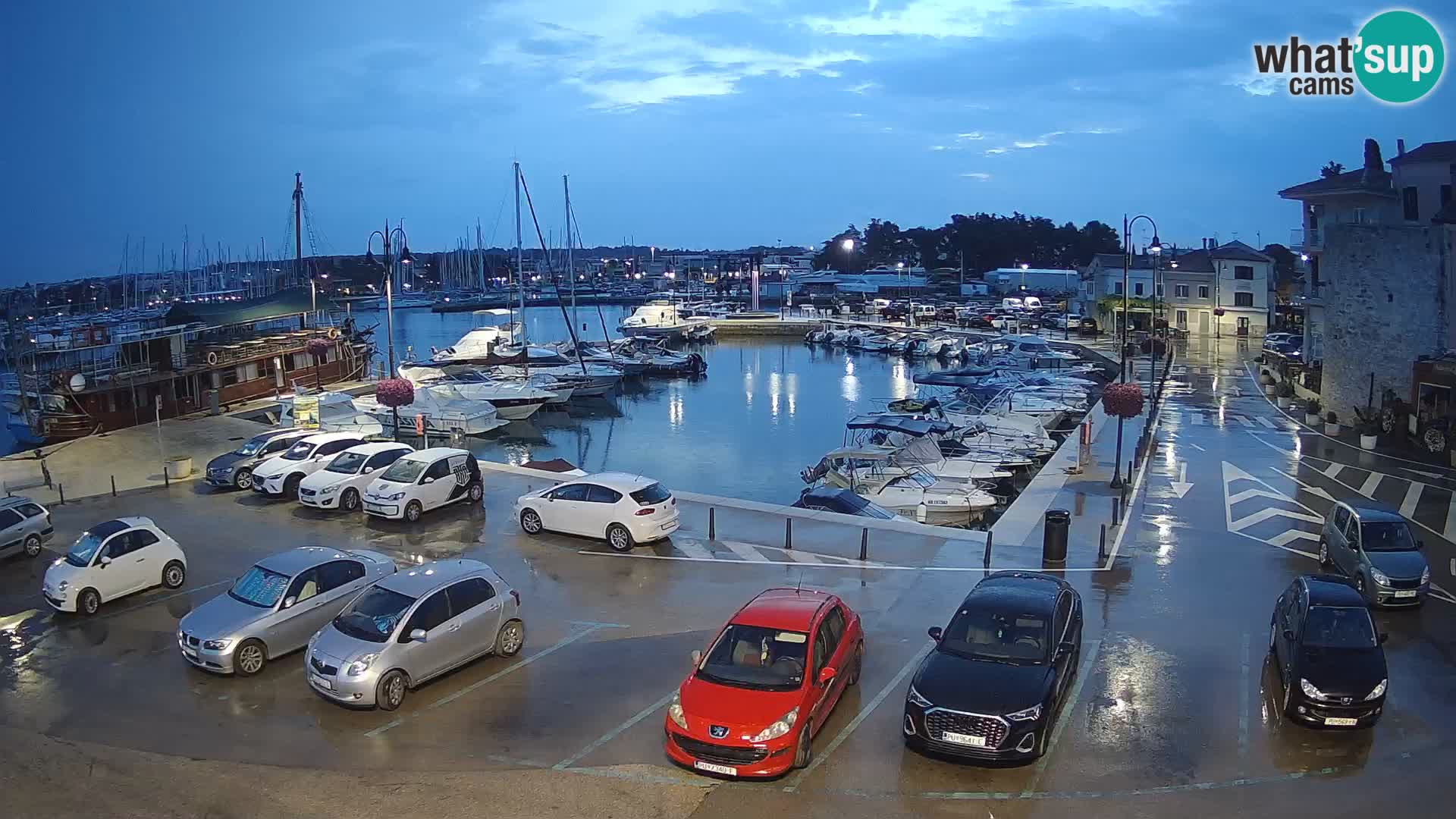 Novigrad | Porporela marina
