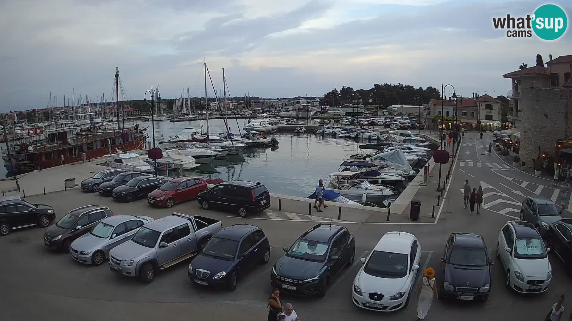 Novigrad | Porporela marina
