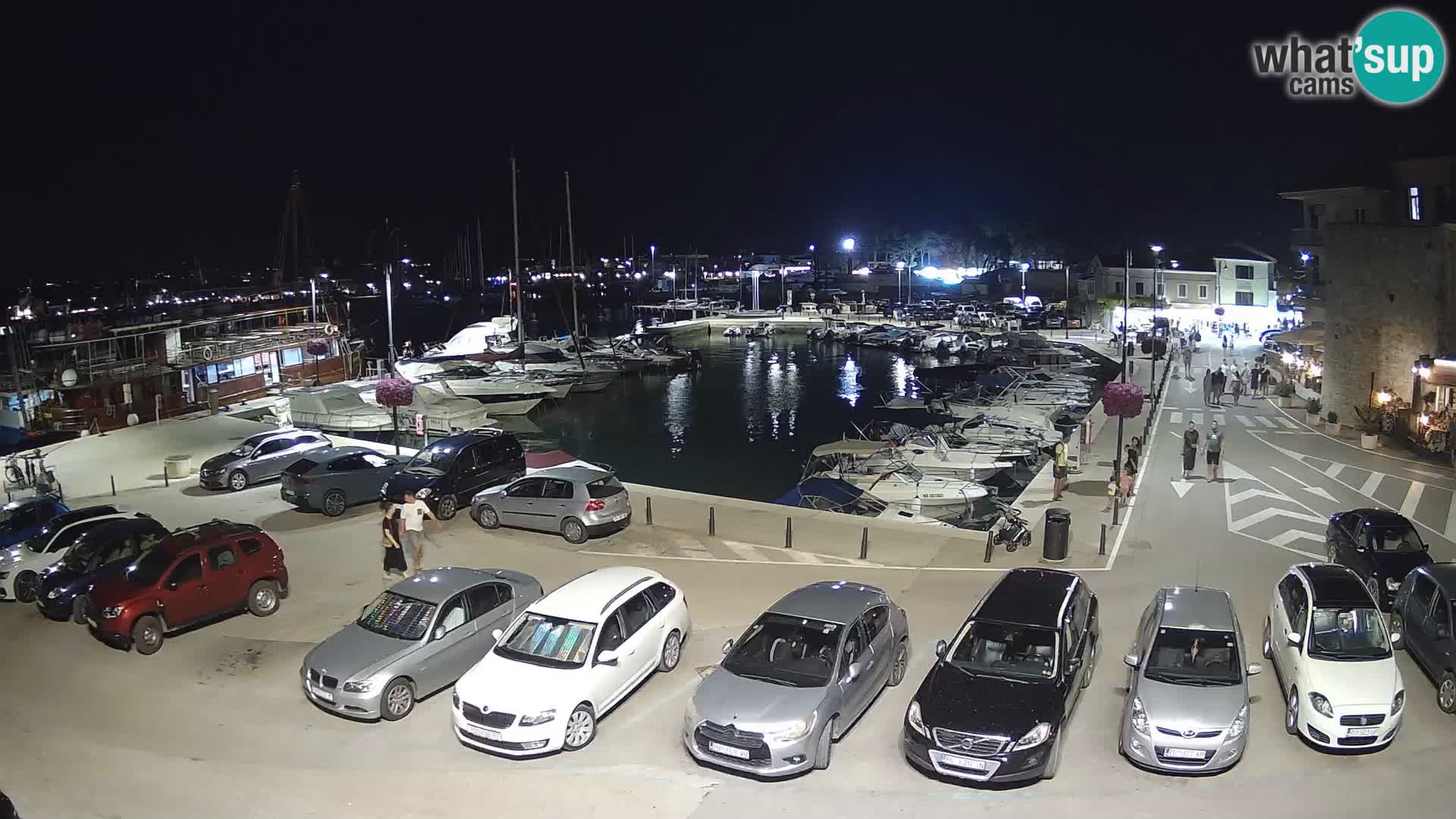 Novigrad | Porporela marina
