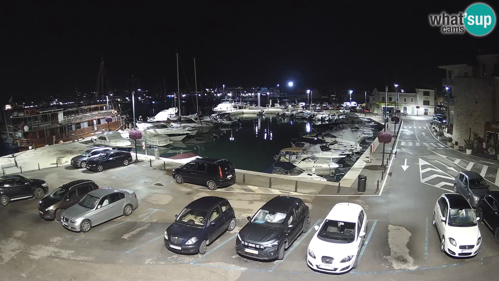 Novigrad | Porporela marina