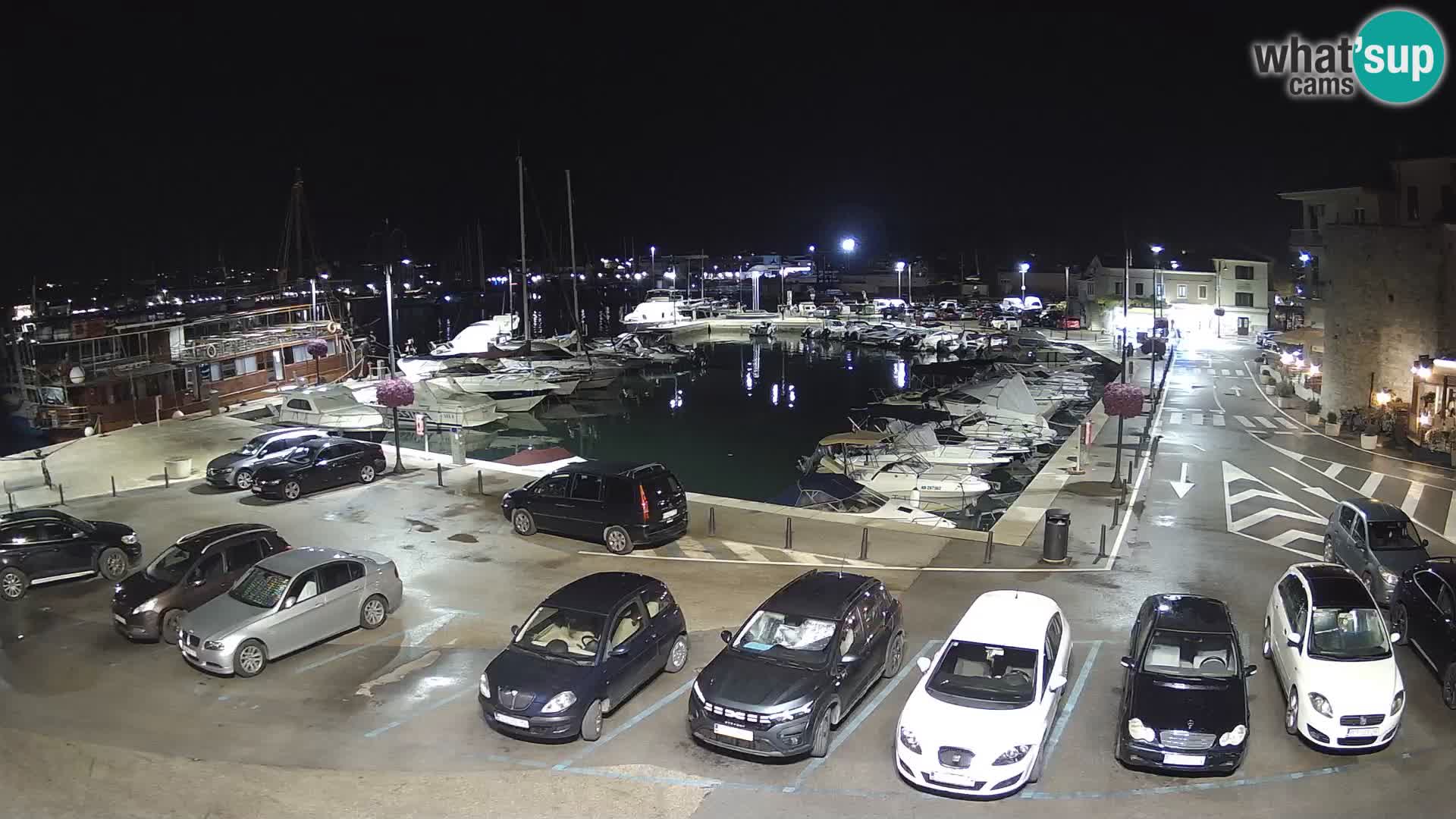Novigrad | Porporela marina