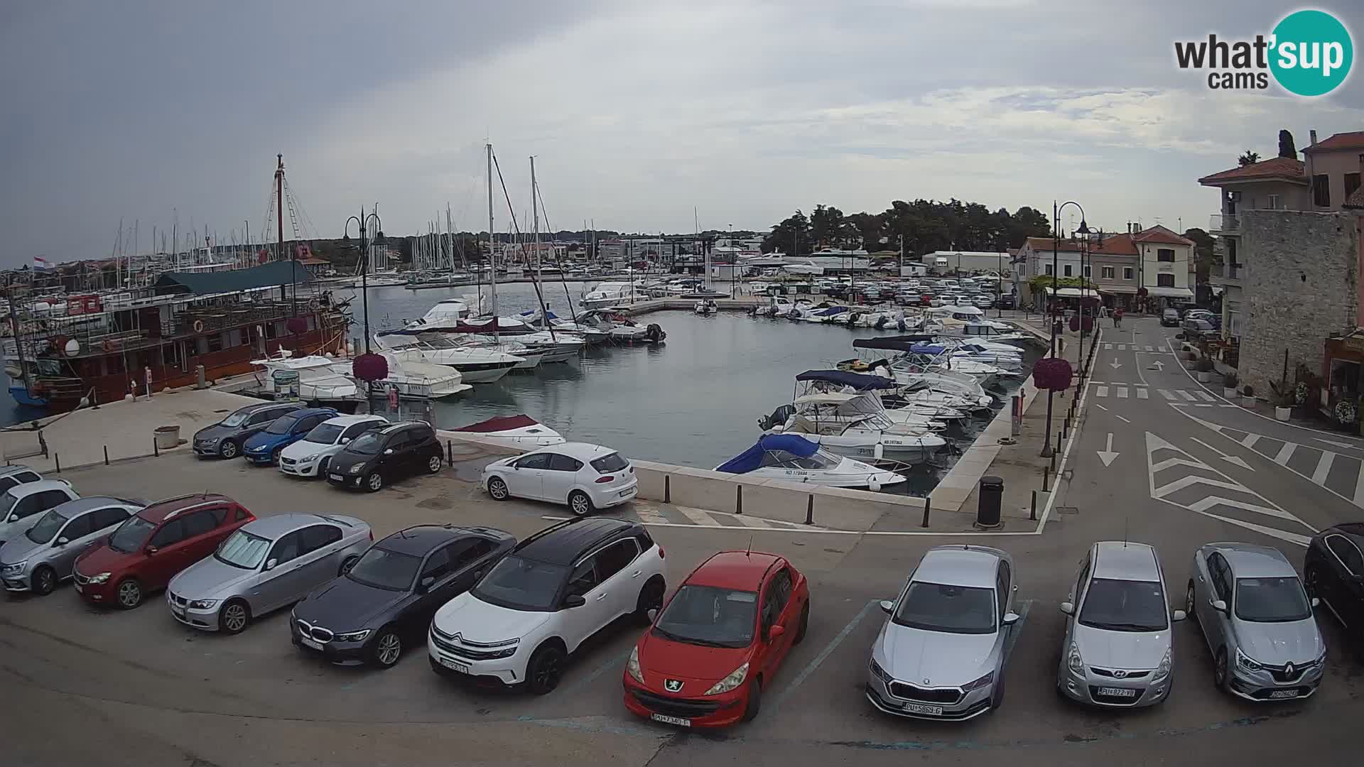 Novigrad | Porporela marina