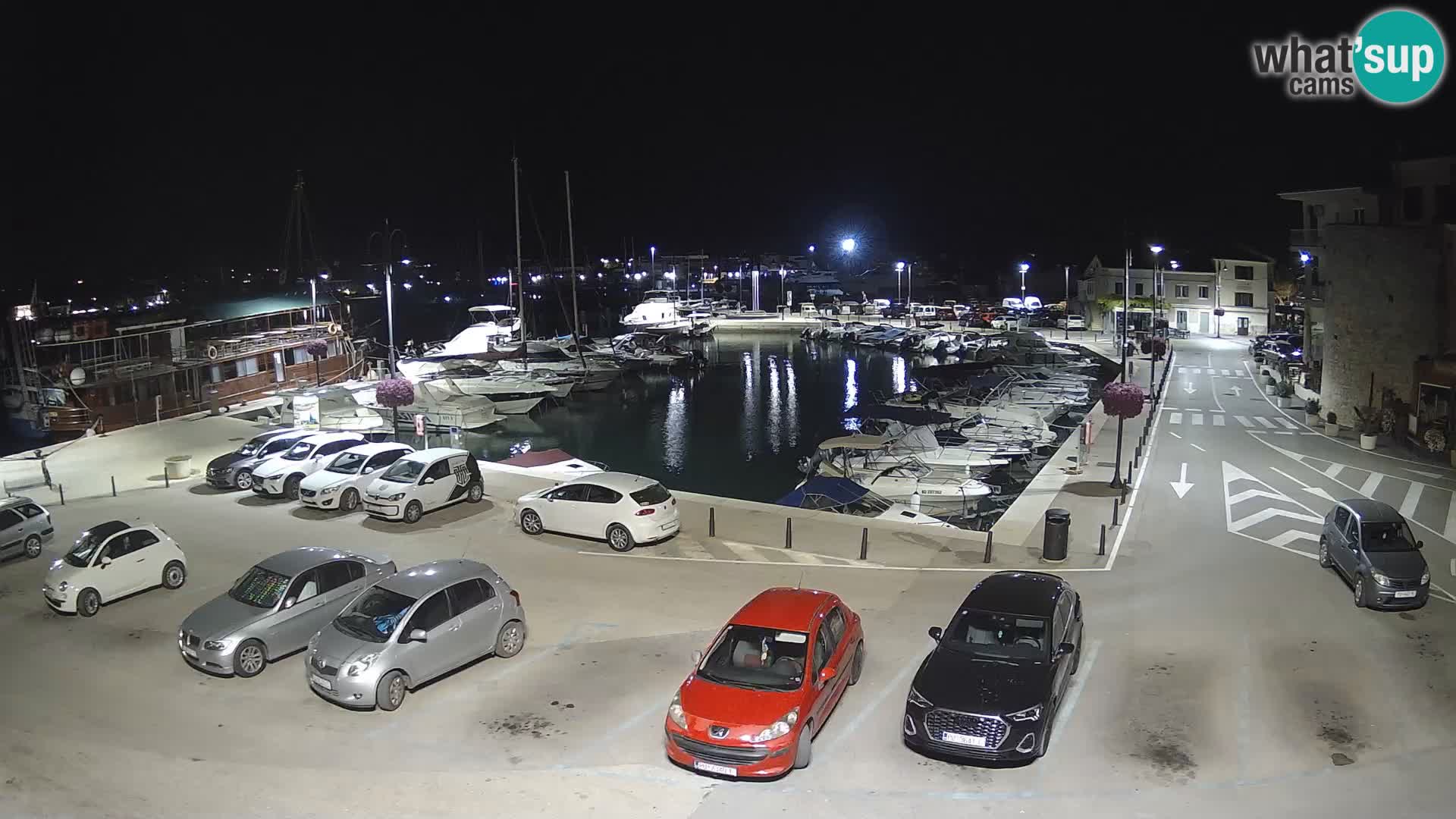 Novigrad | Porporela marina