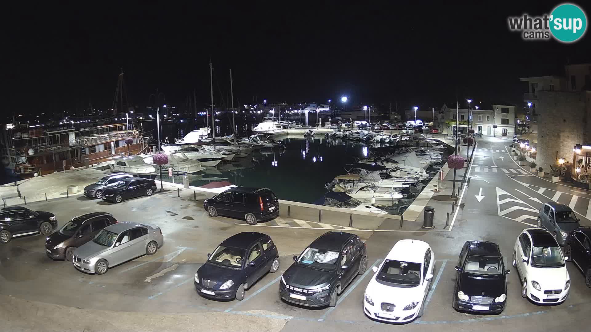 Novigrad | Porporela marina