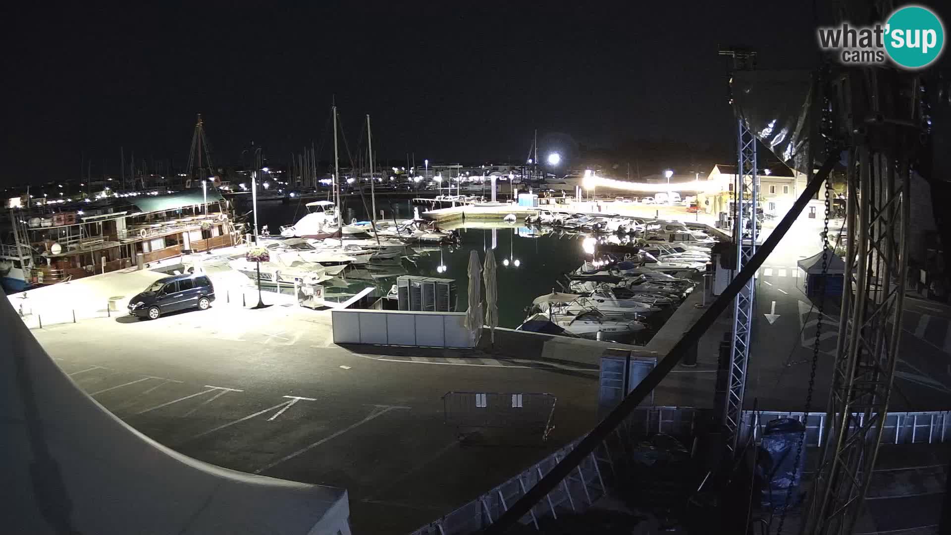 Novigrad | Porporela marina