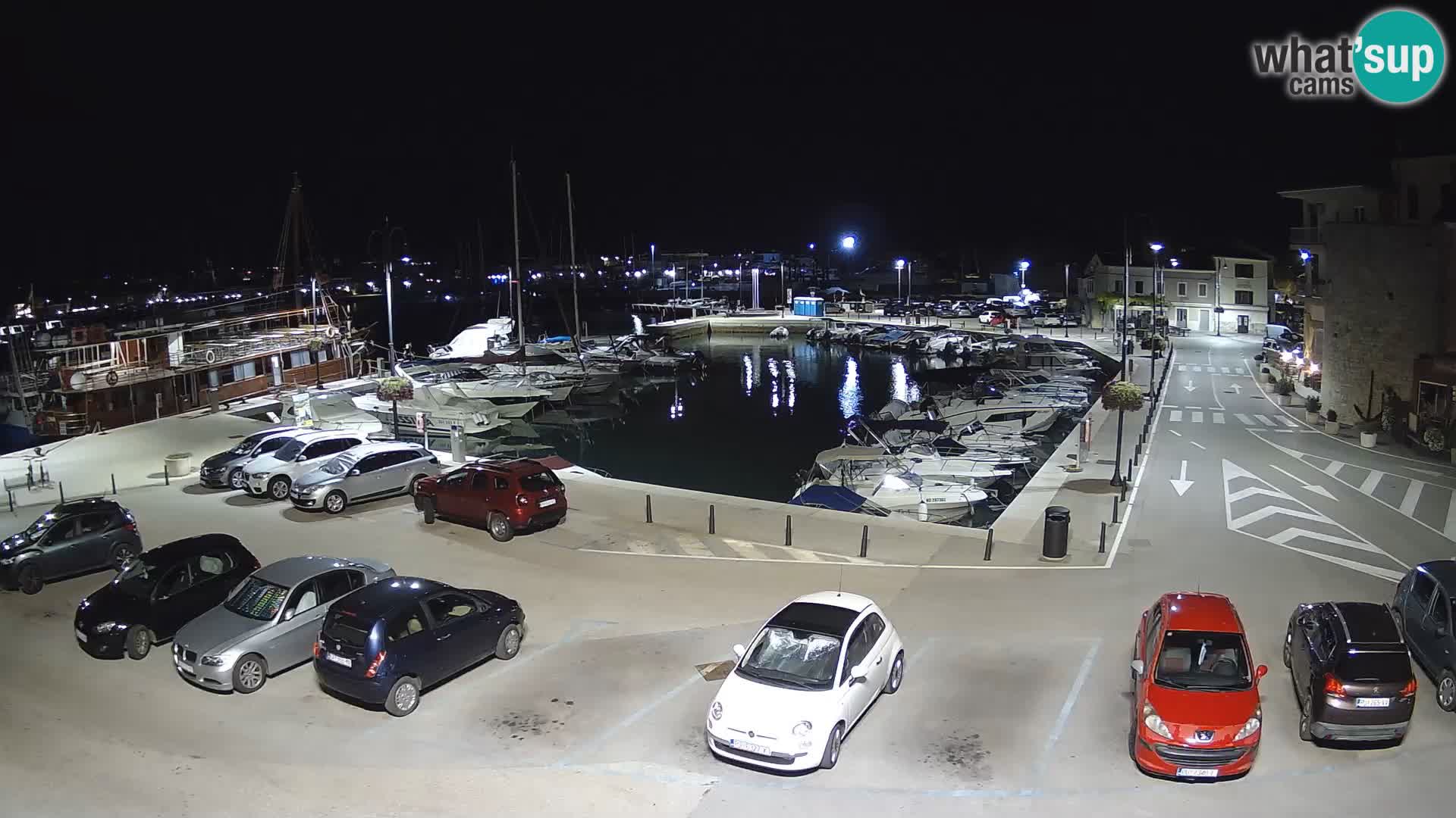 Novigrad | Porporela marina