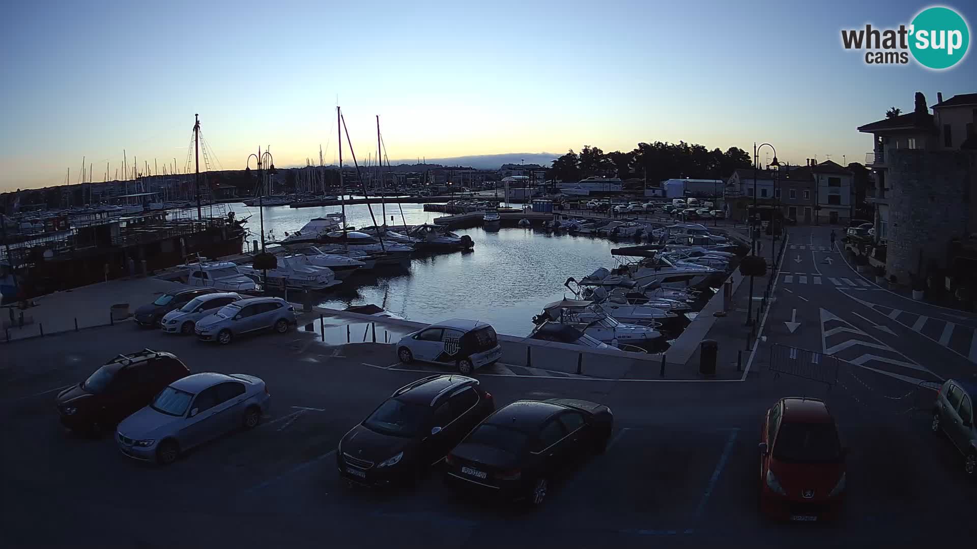 Novigrad | Porporela marina
