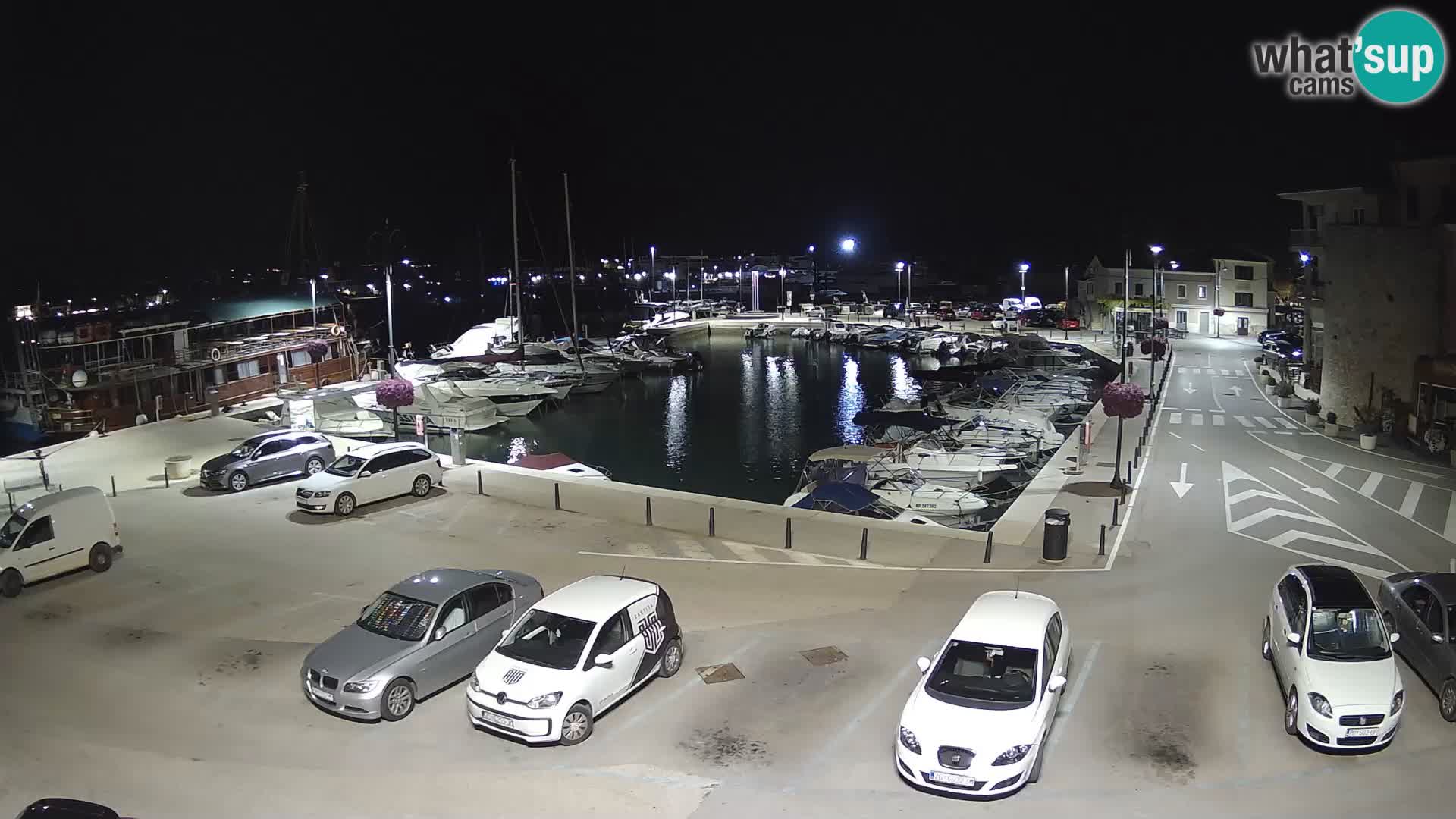 Novigrad | Porporela marina