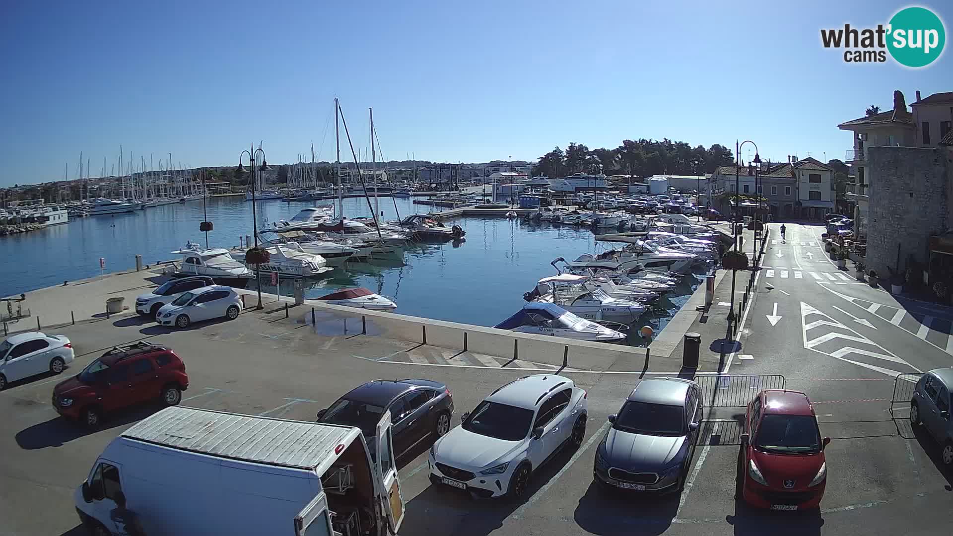 Novigrad | Porporela marina