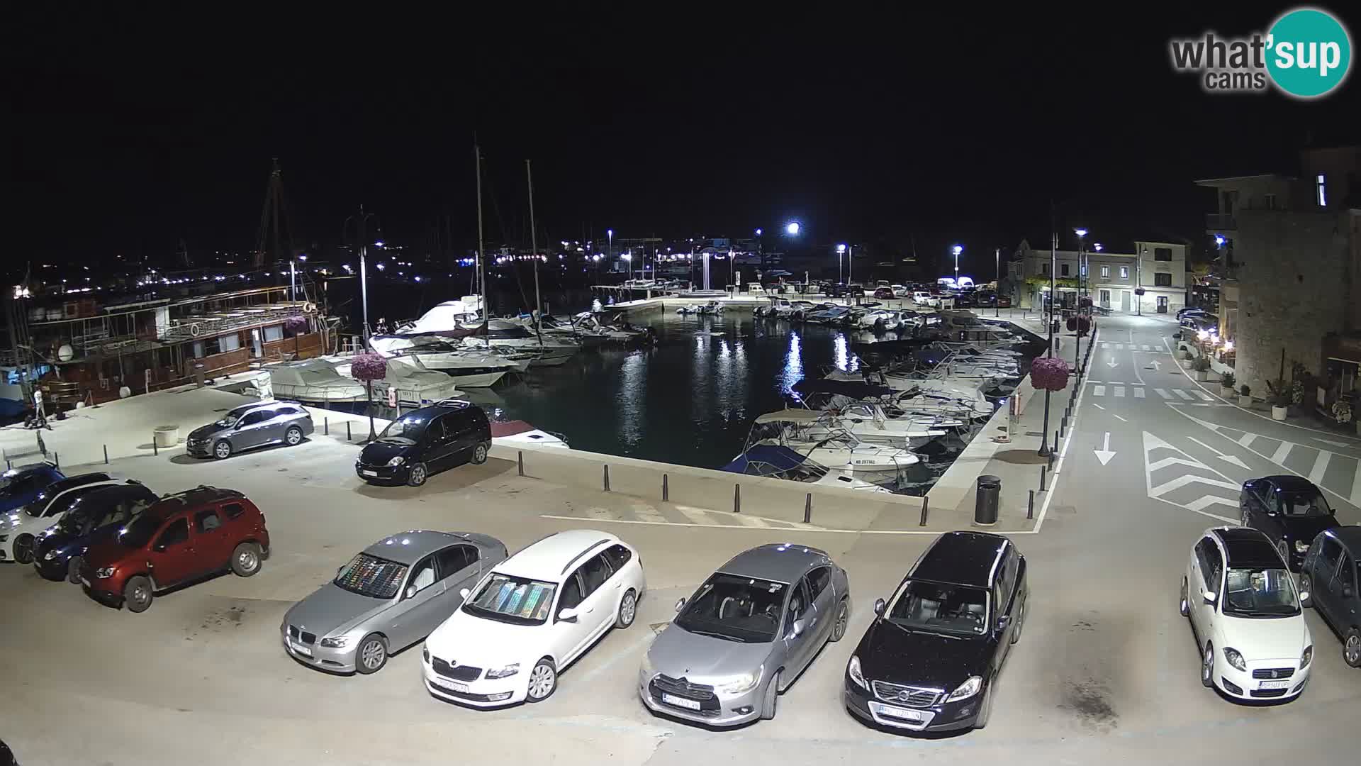 Novigrad | Porporela marina