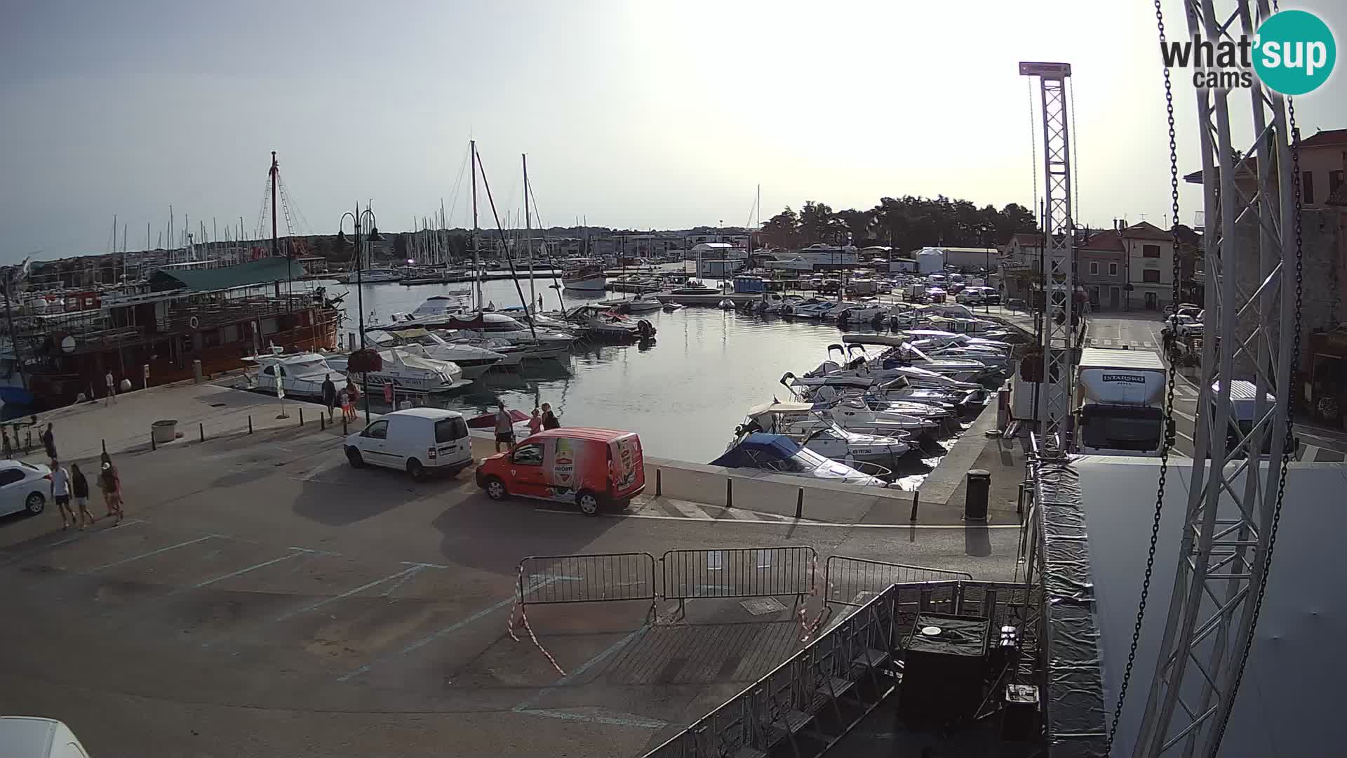 Novigrad | Porporela marina