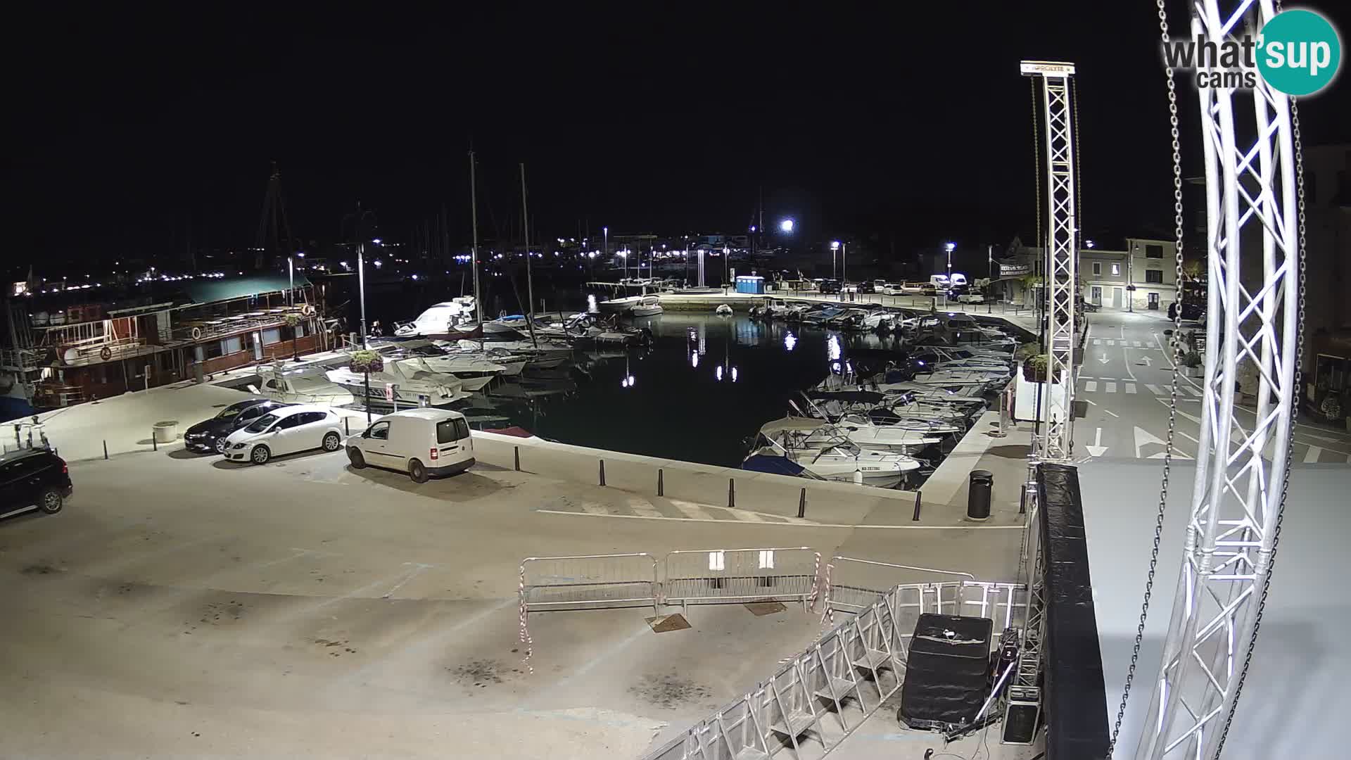 Novigrad | Porporela marina
