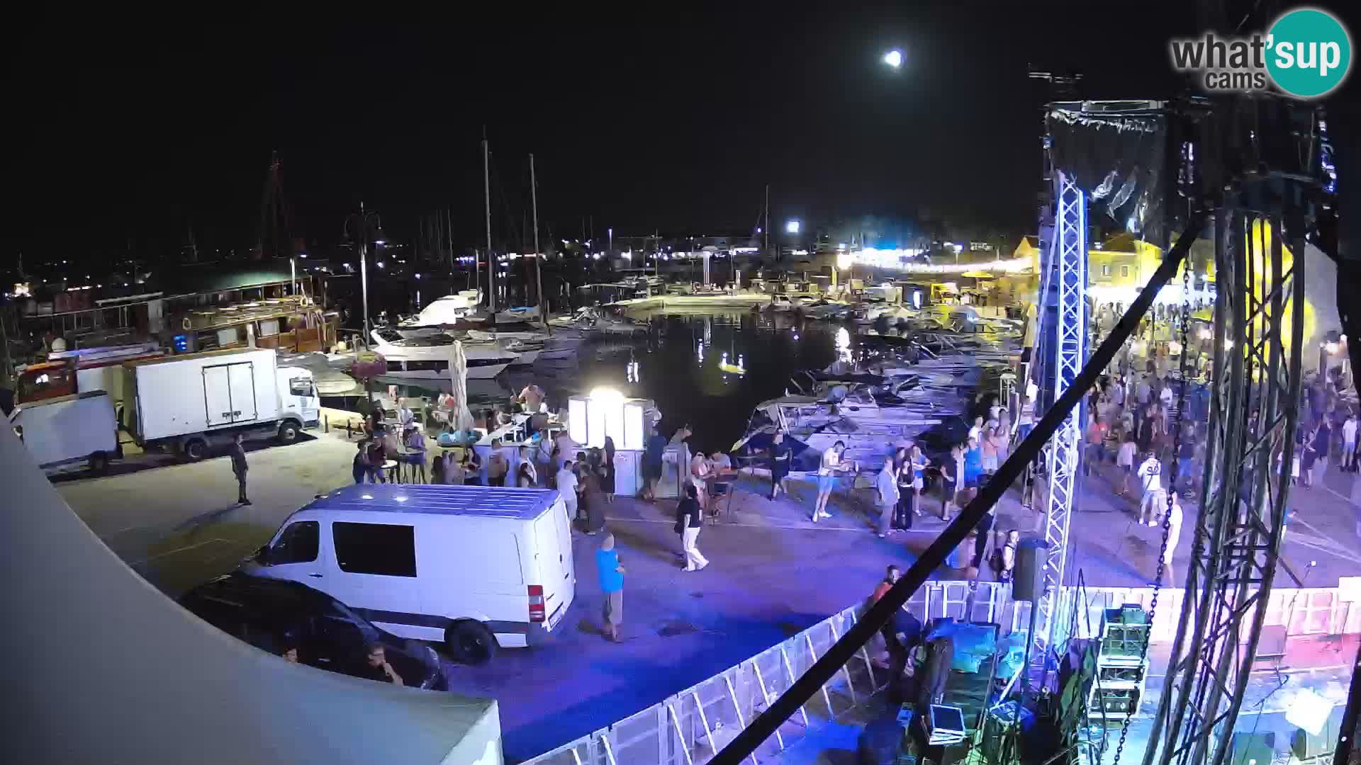 Novigrad | Porporela marina