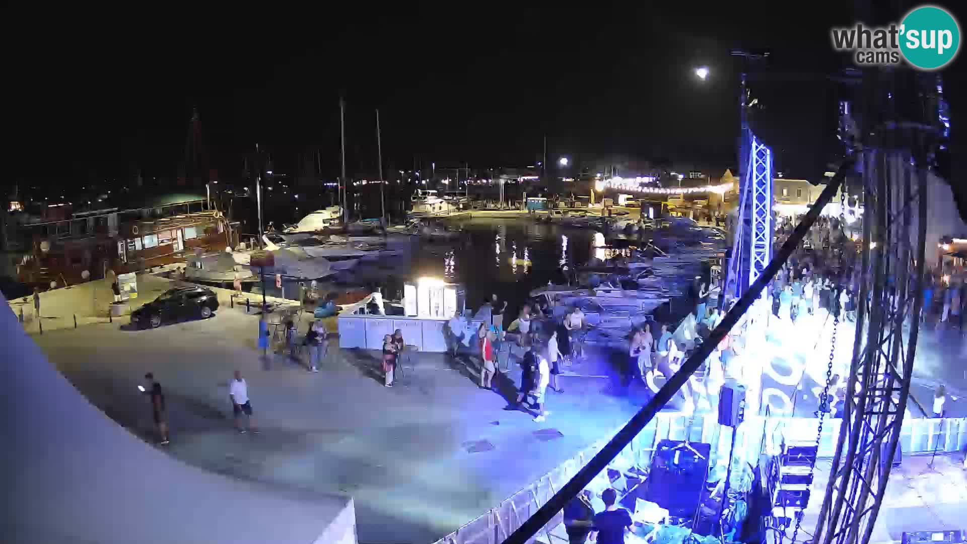 Novigrad | Porporela marina