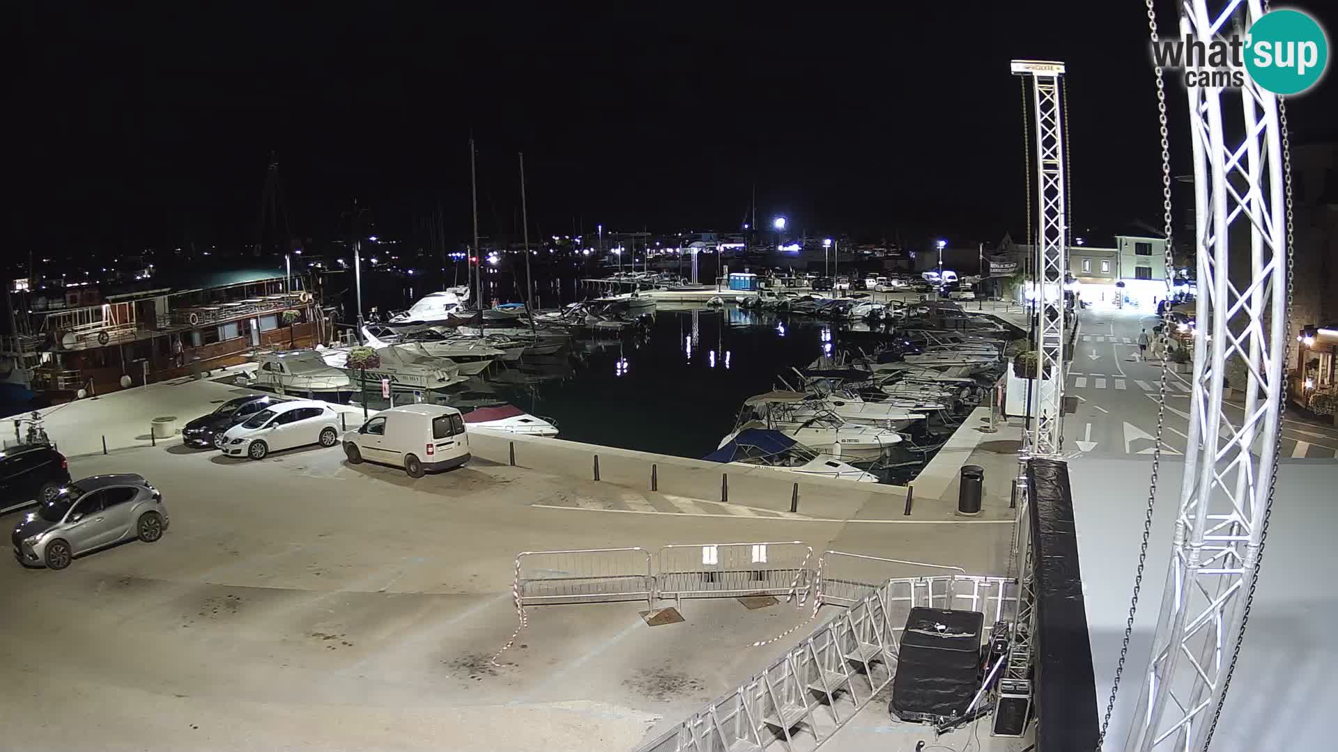 Novigrad | Porporela marina